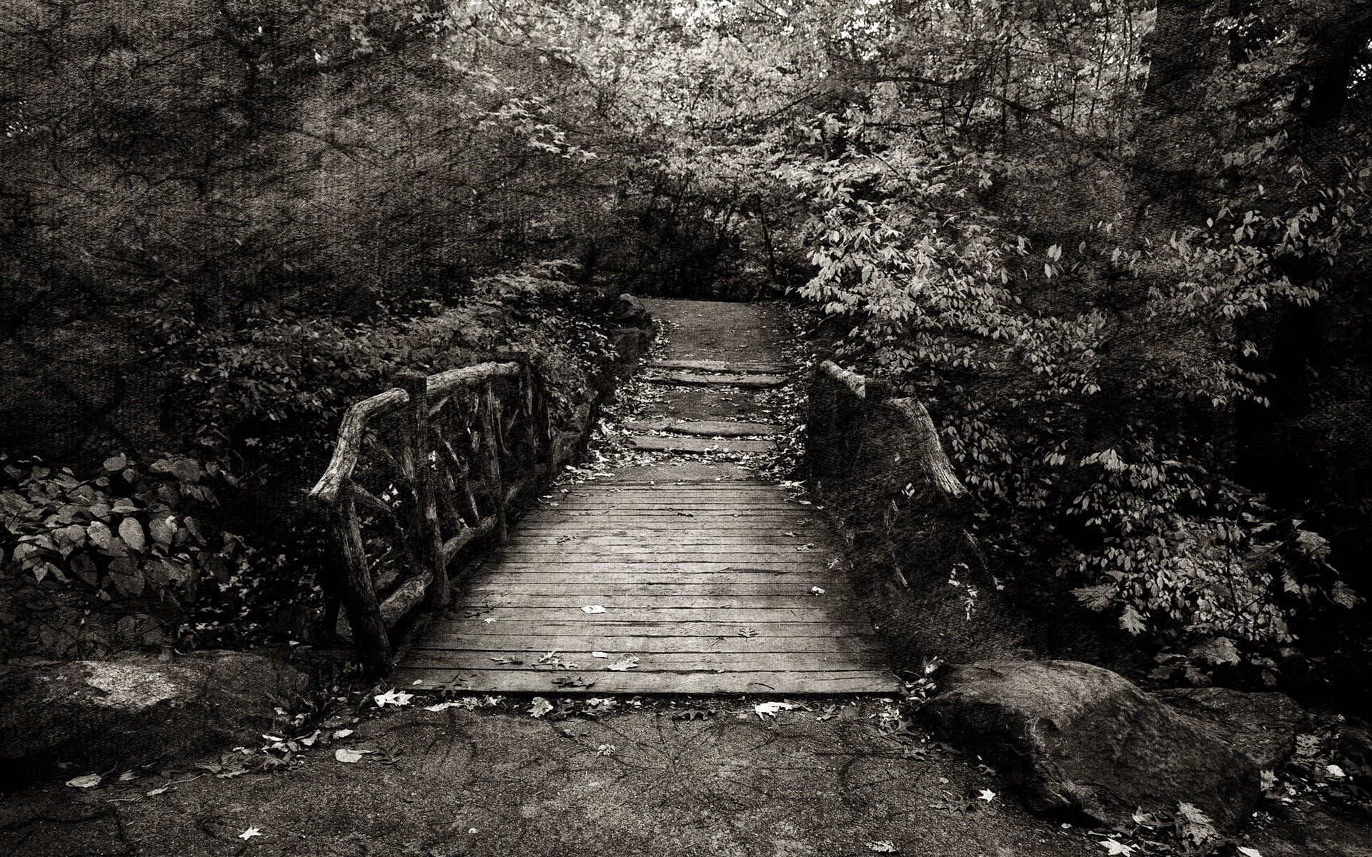 diminishing perspective, no people, architecture, nature, trees, tranquility, grayscale, tree, 1080P, the way forward, wooden surface, footpath, day, photo manipulation, HD Wallpaper