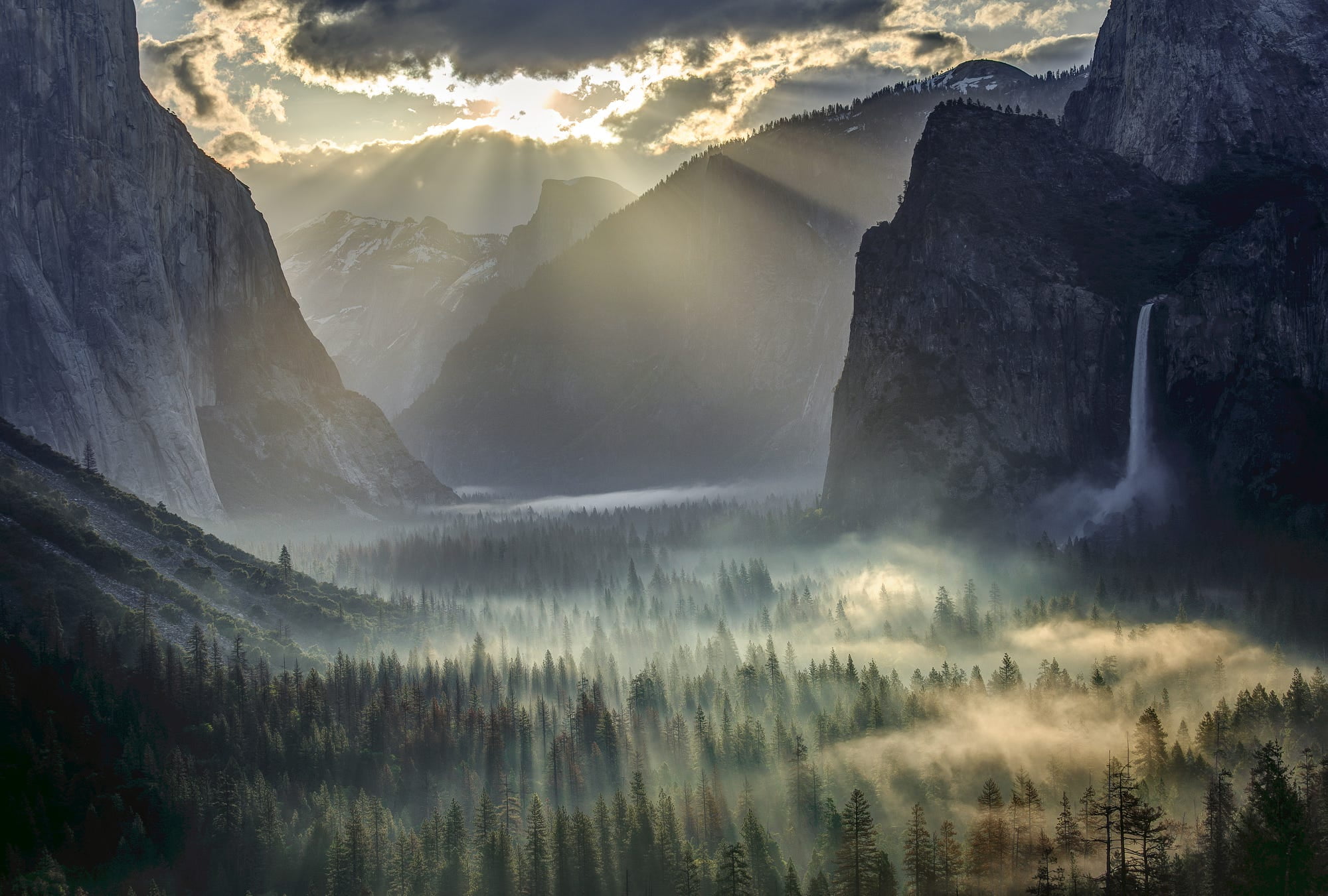 1080P, lot, tree, travel destinations, mountain peak, green, non-urban scene, fog, land, Yosemite National Park, cloud - sky, leafed, mountain, tourism, HD Wallpaper