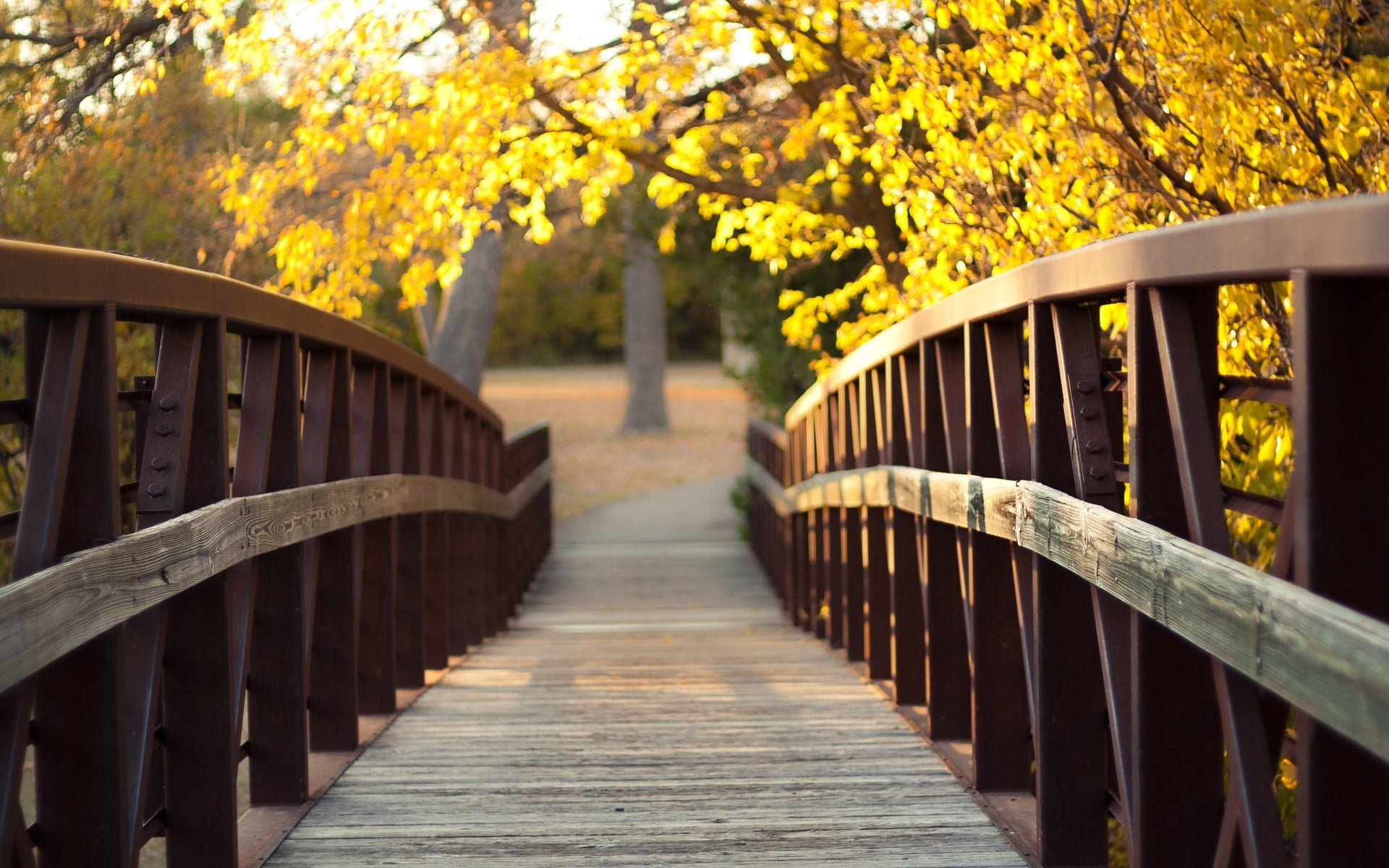 wood, no people, focus on foreground, footpath, 1080P, in a row, built structure, wooden, bridge - man made structure, plant, tree, architecture, wood - material, HD Wallpaper