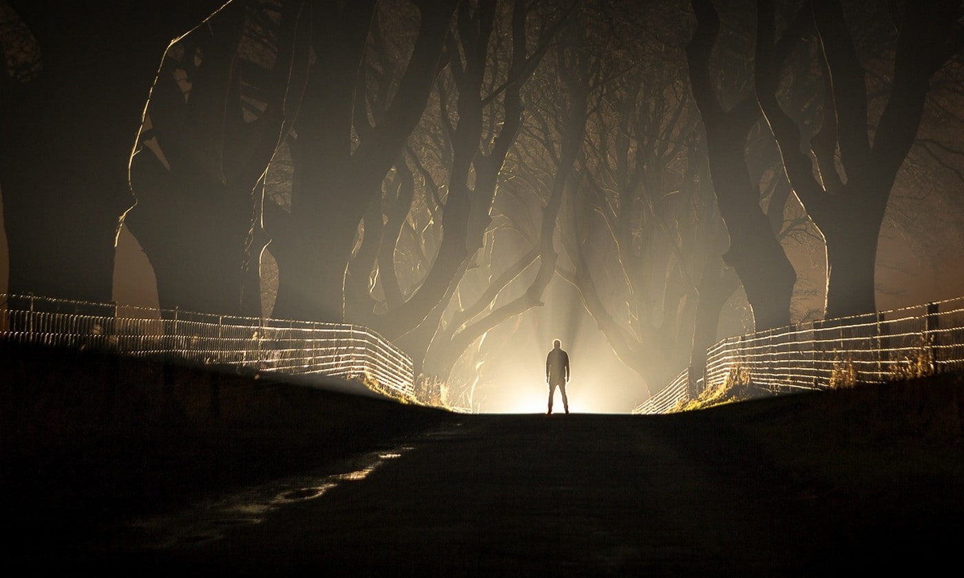 mist, connection, bridge - man made structure, footpath, night, men, railing, lights, tree, diminishing perspective, leisure activity, standing, full length, HD Wallpaper