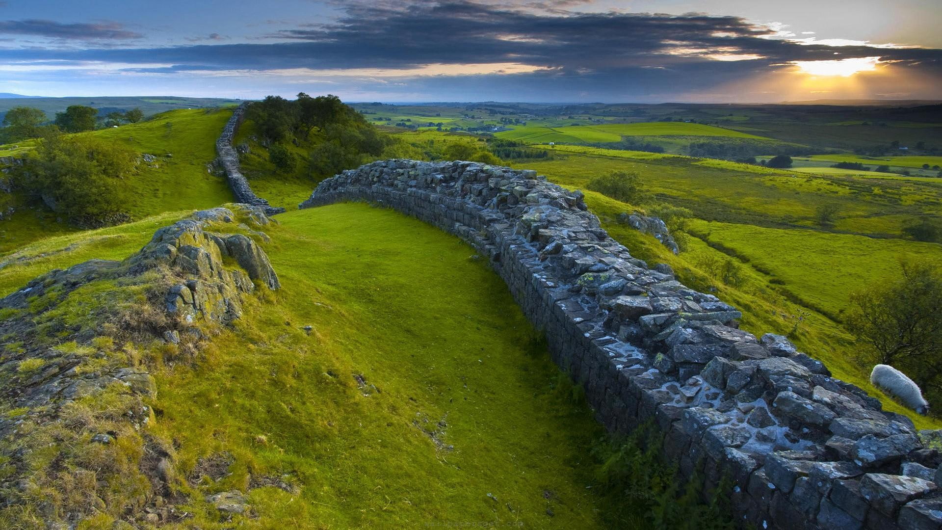 wall, sunset, britain, sheep, northern, clouds, hadrians, 1080P, fields, nature and landscapes, stones, HD Wallpaper