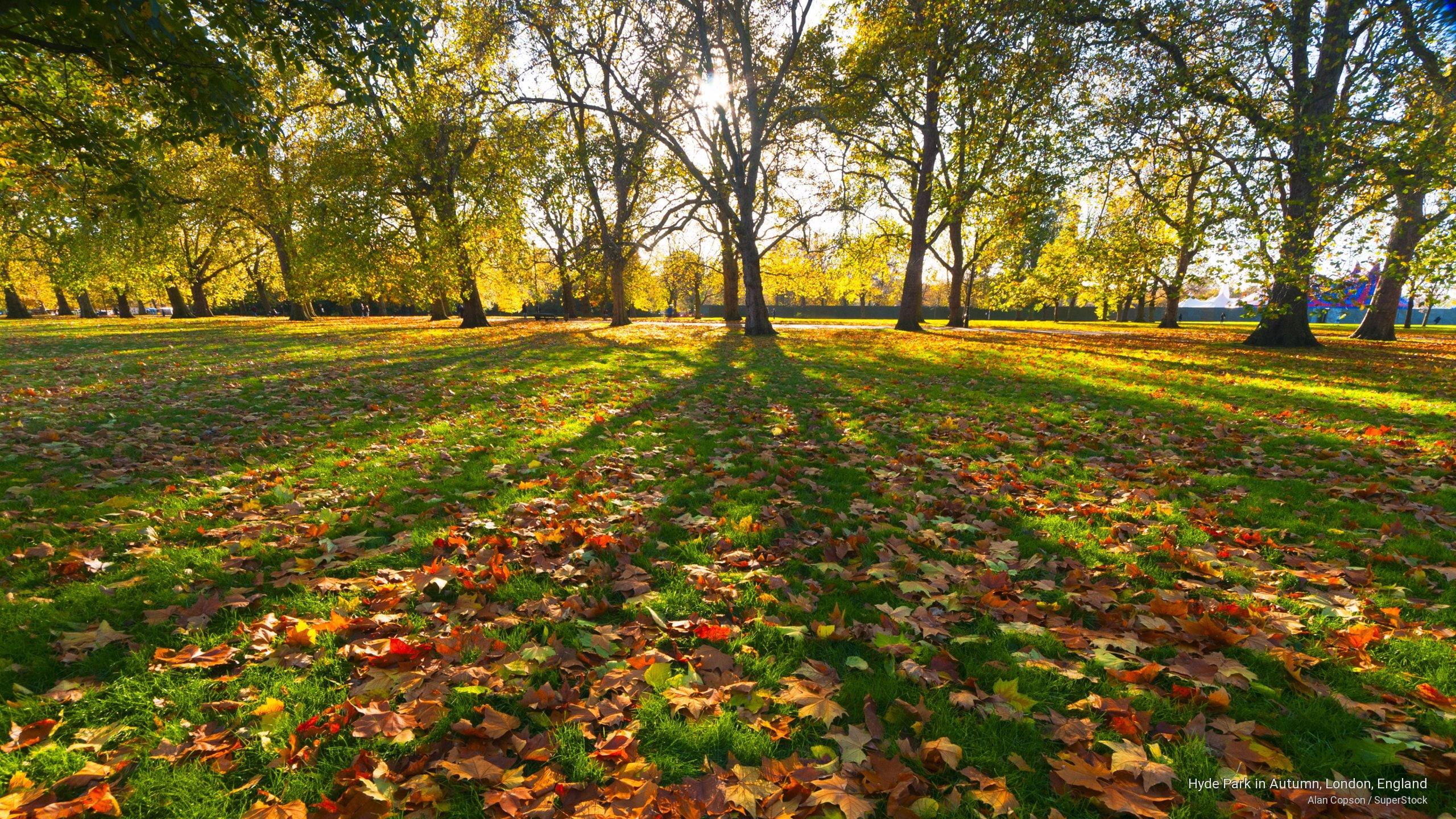 london, hyde, england, 2K, park, autumn, Fall, HD Wallpaper