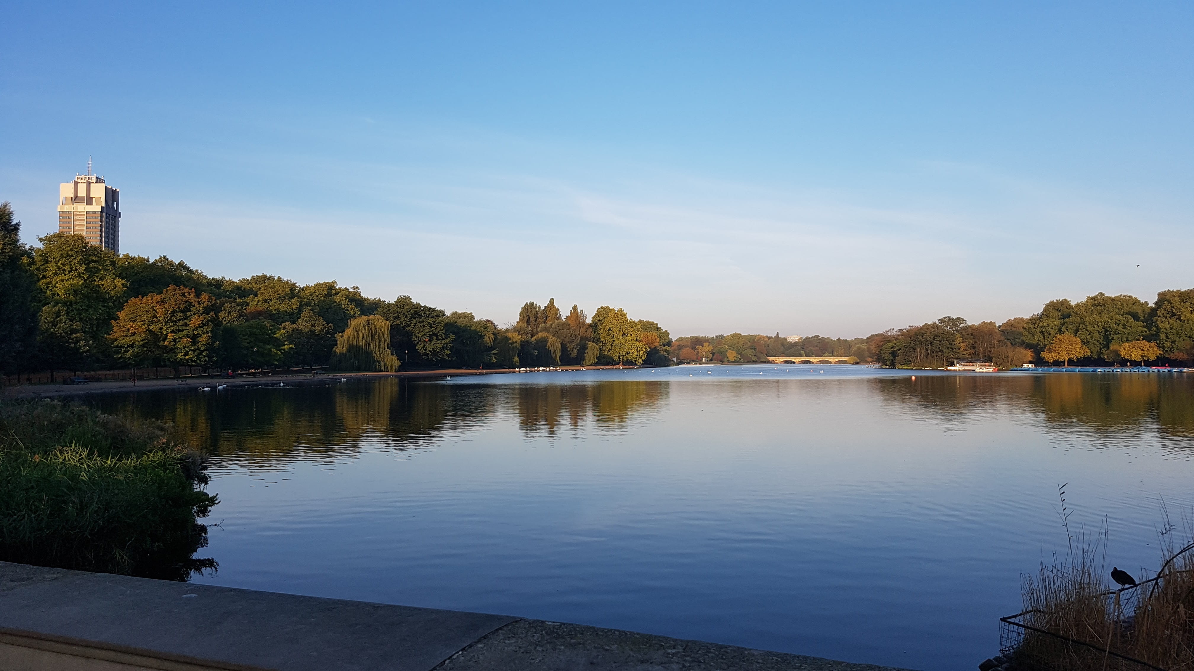 plant, growth, beauty in nature, water, reflection, hyde park, calm, 4K, landscape, no people, scenics - nature, built structure, tree, quiet, down, london, HD Wallpaper