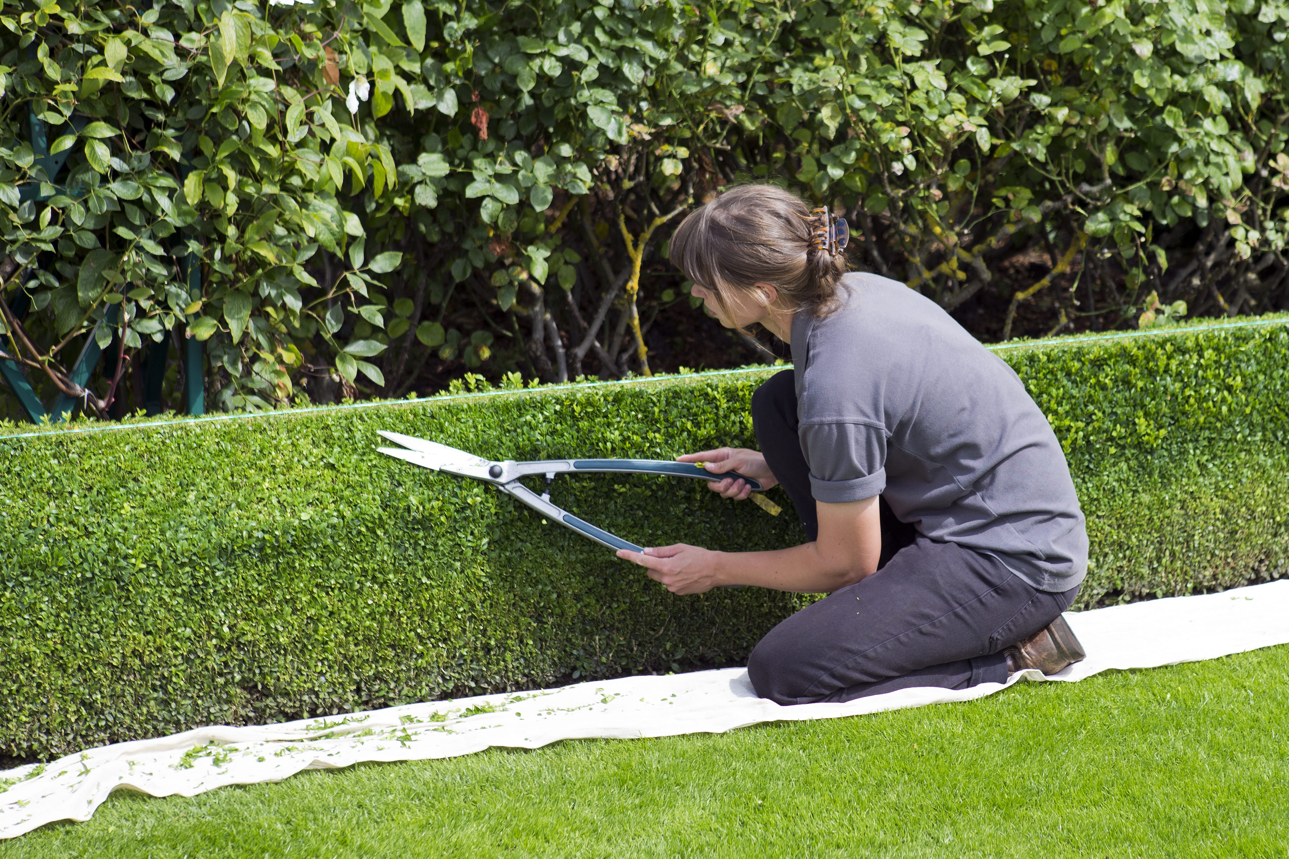 real people, lifestyles, trimming, women, one person, green color, leisure activity, full length, side view, field, day, nature, box hedge topiary, growth, HD Wallpaper