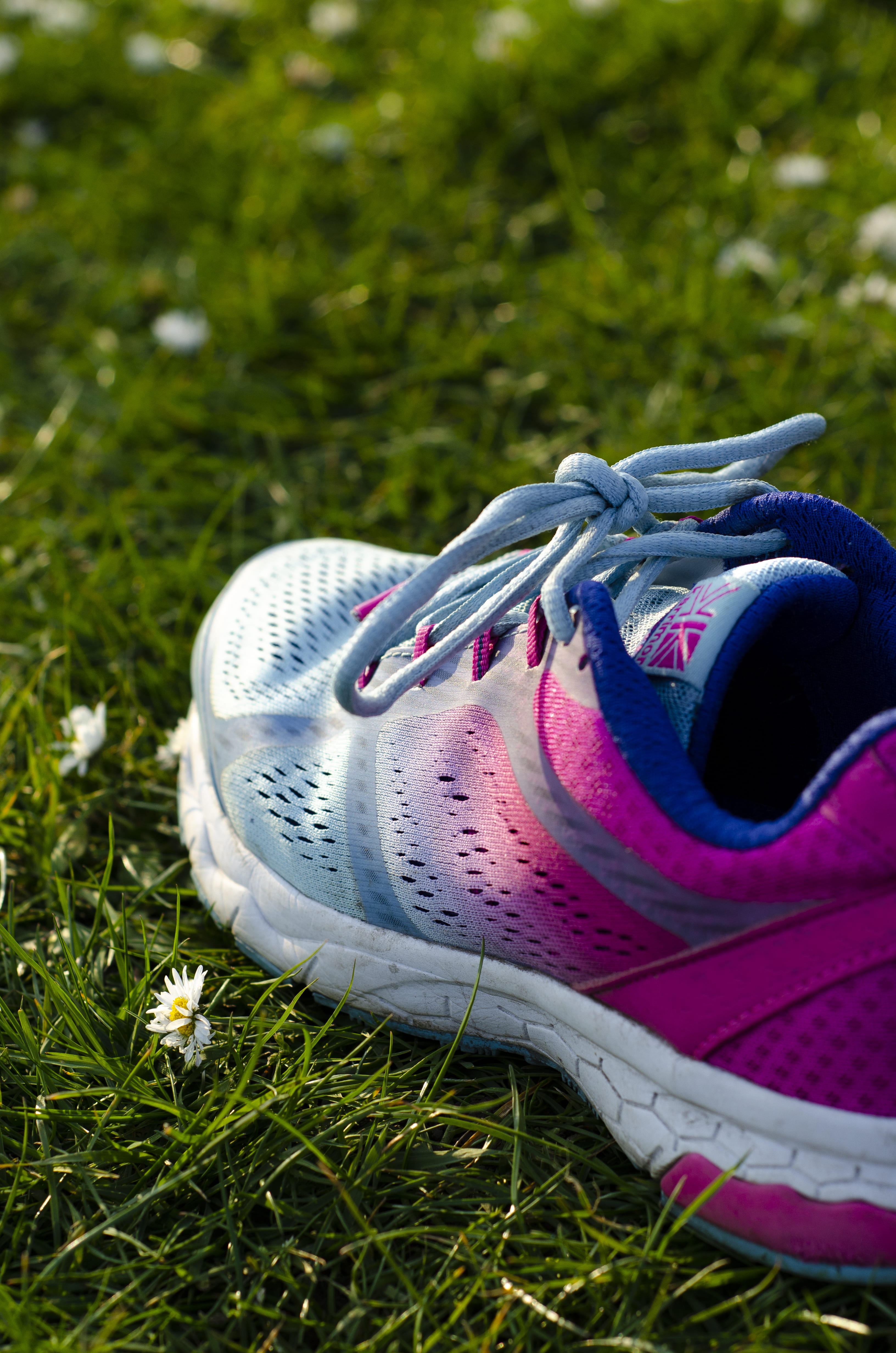 close, sunlight, animal, clothing, land, running shoe, grass, london, outdoors, sneaker, day, green color, growth, spring, shoes, sport, footwear, close-up, Phone HD Wallpaper