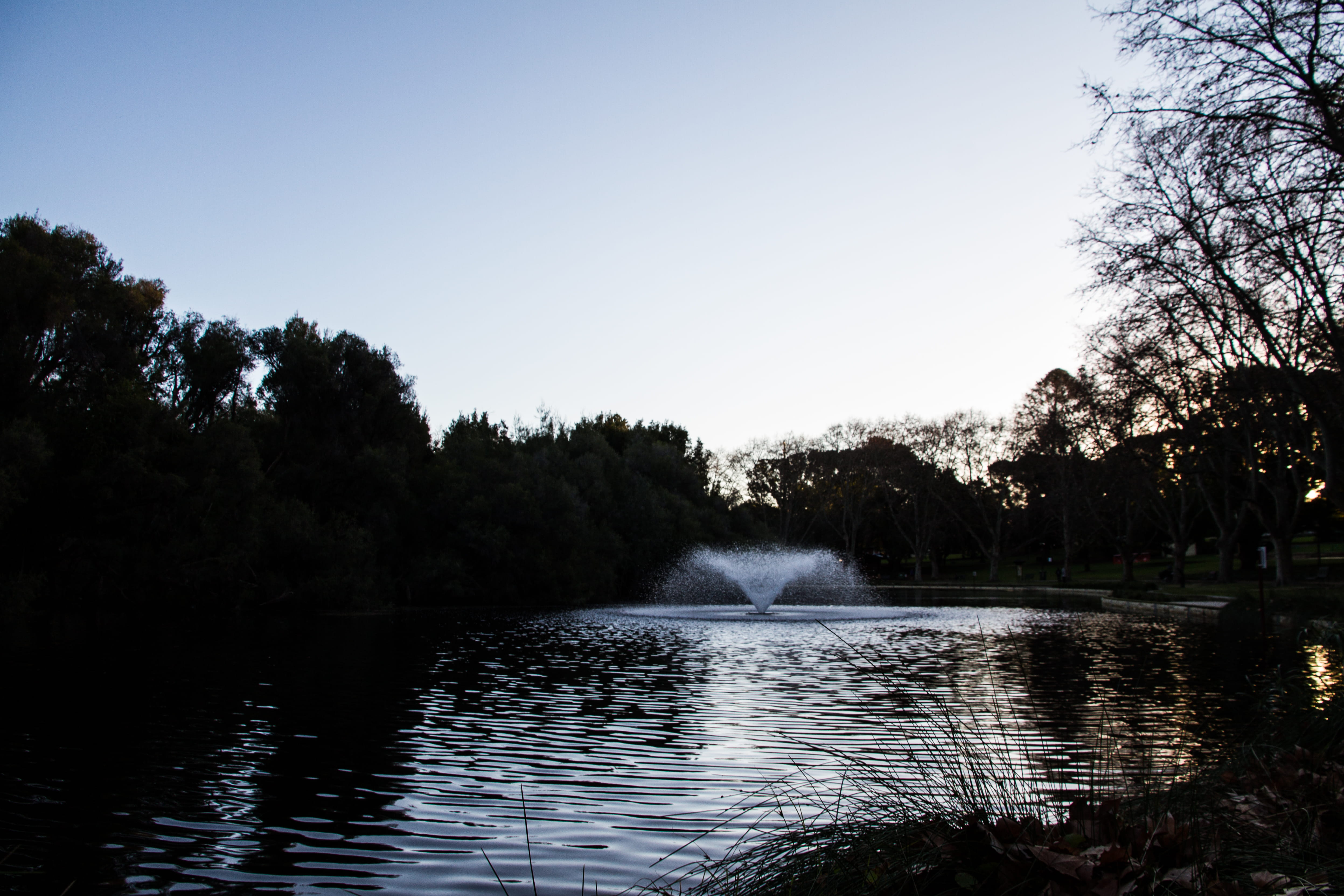 sky, clear sky, reflection, tranquility, perth, hyde park, trees, forest, nature, day, no people, sunset, tree, scenics - nature, flowing water, australia, HD Wallpaper