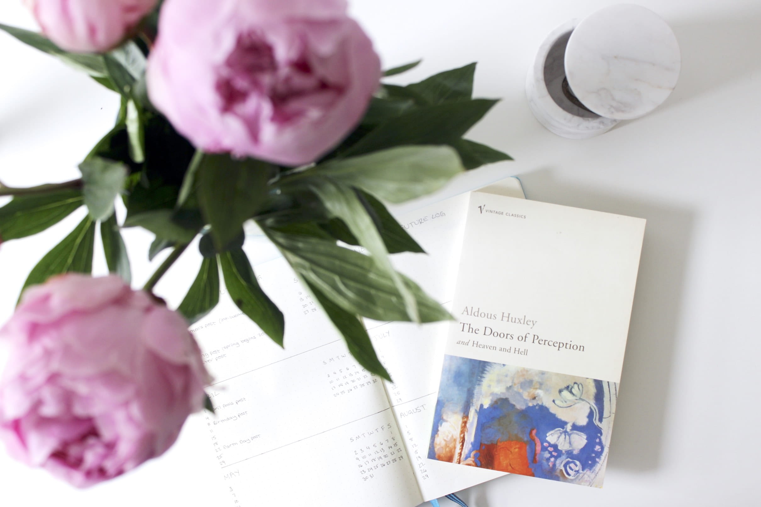 flat lay, united kingdom, london, perception, decor, peonies, freshness, no people, greenwich, flowering plant, flower, interior, indoors, book, bouquet, HD Wallpaper