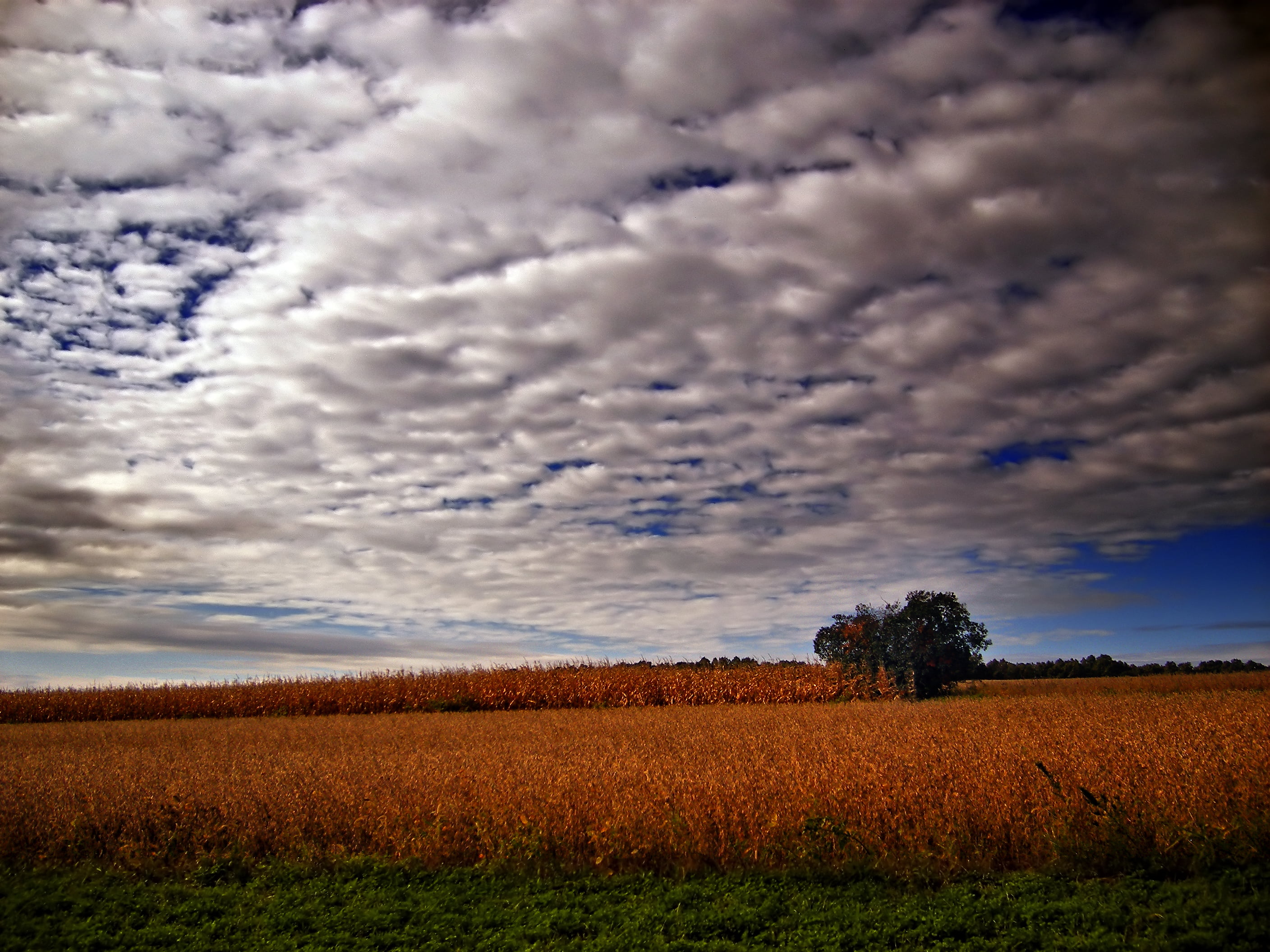 2K, Berks County, blue, nature, grass, rural Scene, landscape, clouds, field, sky, creative commons, low light, agriculture, outdoors, cloud - Sky, rural, HD Wallpaper