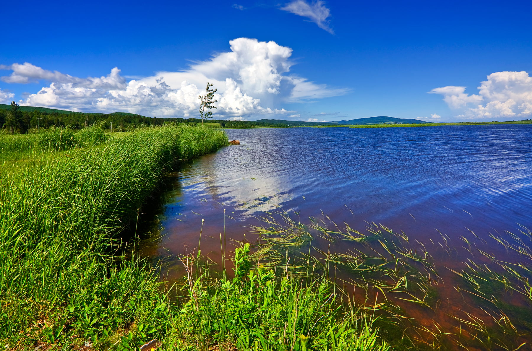 maroon, blue, composite, landscape, sky, brown  blue, grass, cloud, nb, 720P, grasses, photograph, body of water, new  brunswick, scenic, green, body, HD Wallpaper