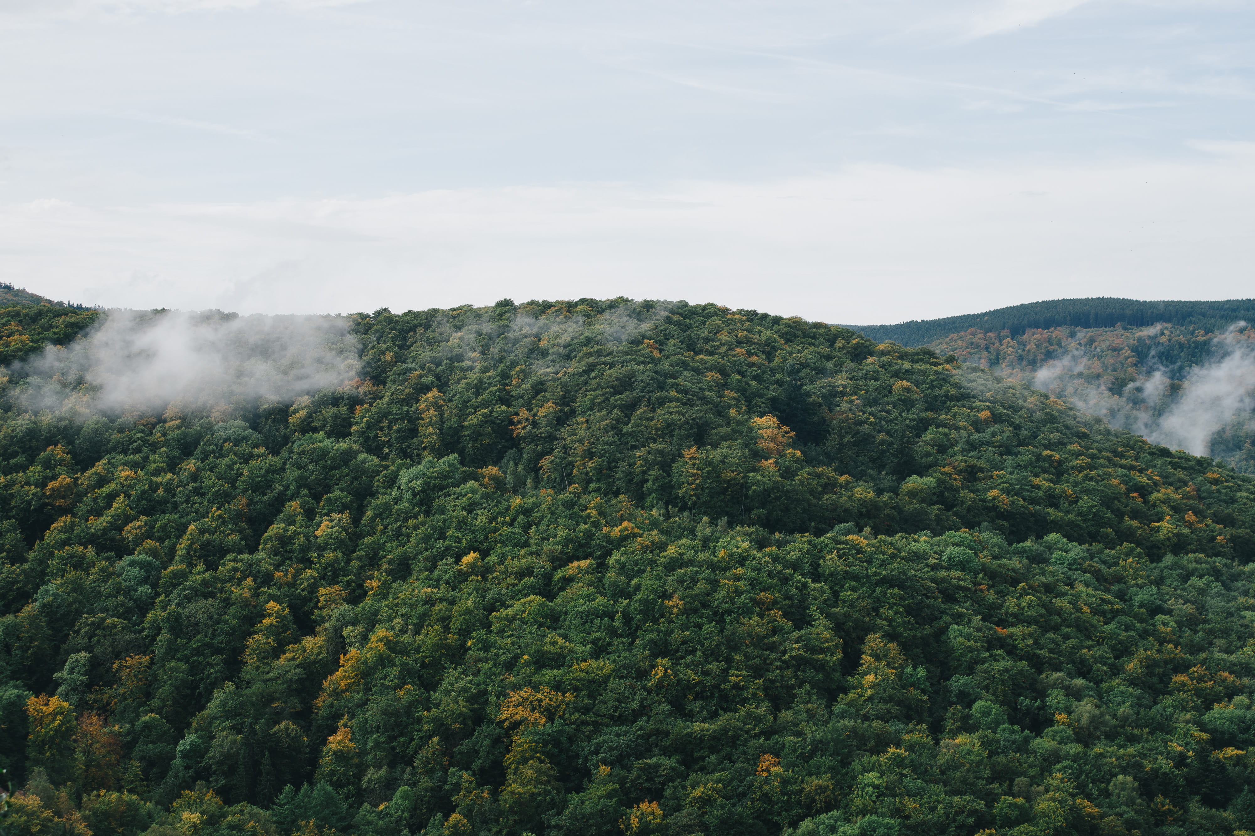 hilly, raised, clouds, no people, leaf, forest, sky, fall, yellow, saxony, non-urban scene, scenery, natural, mystery, view, tranquil scene, summer, journey, HD Wallpaper