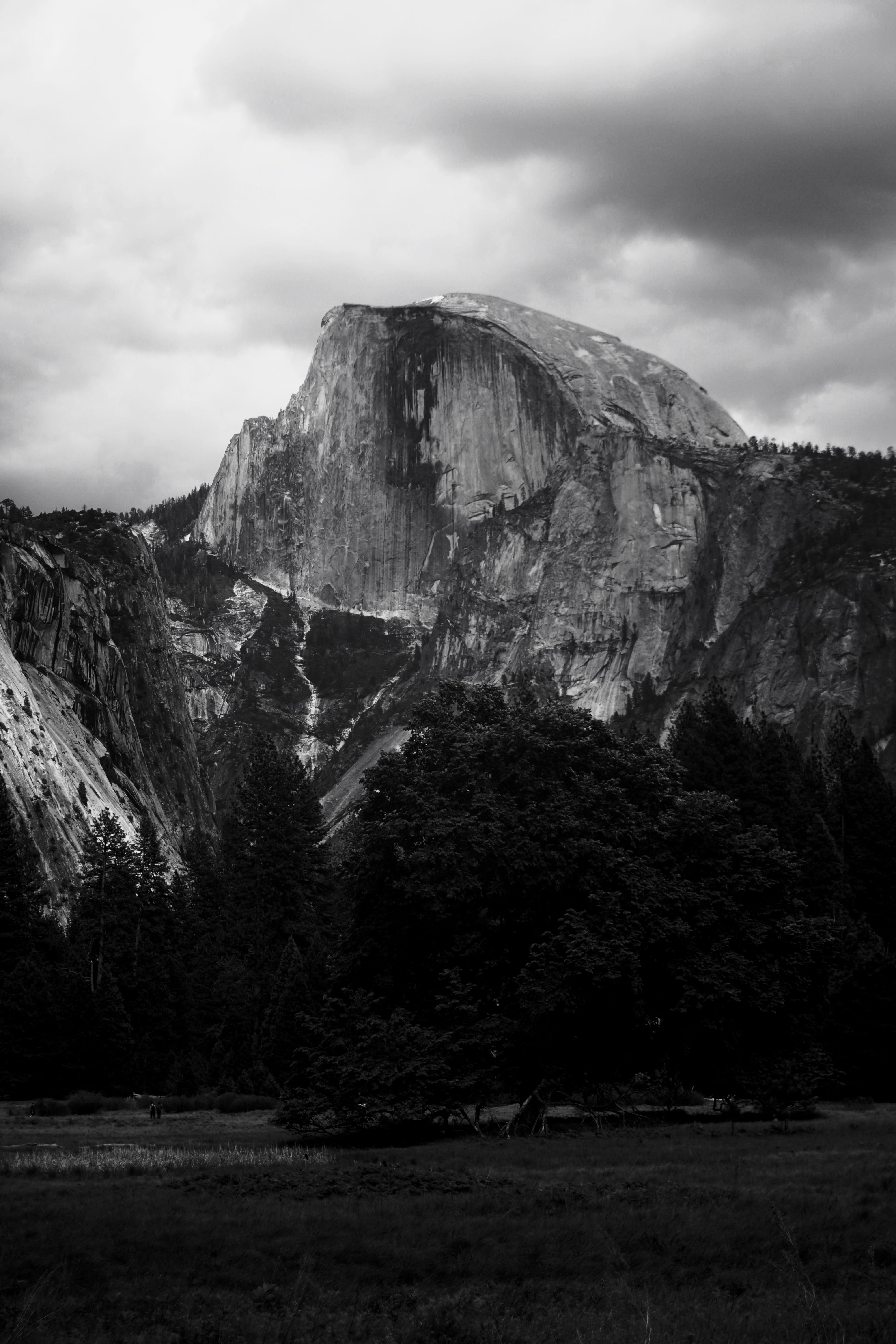 non-urban scene, rock formation, land, yosemite, outdoors, rock - object, nature, plant, mountain, 5K, sky, tree, tranquility, day, environment, beauty in nature, Phone HD Wallpaper