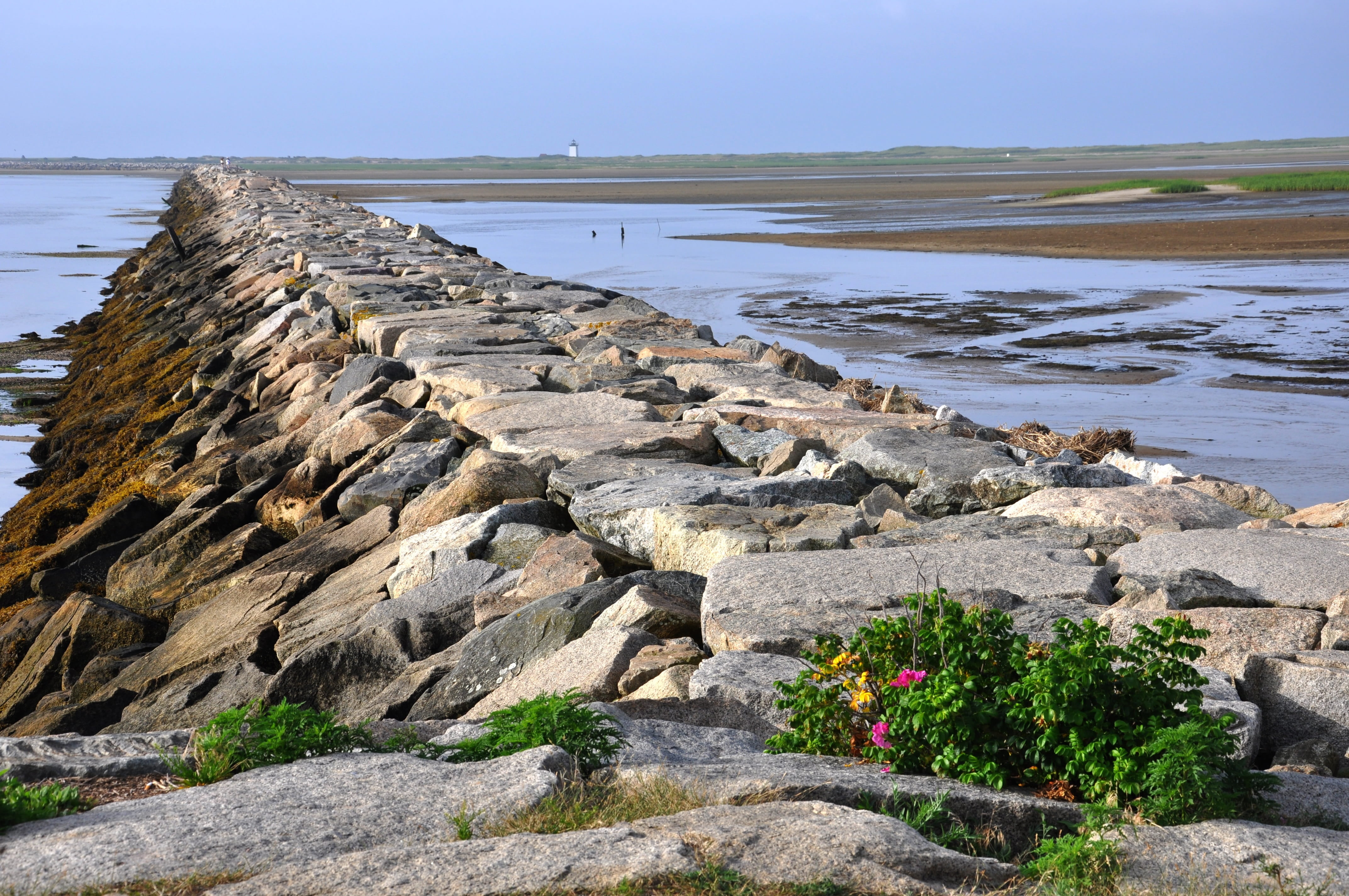 sunlight, holiday, travel, rock - object, background, day, brown, outdoors, coast, seascape, beautiful, formation, romantic, tide, new england, tranquil scene, HD Wallpaper