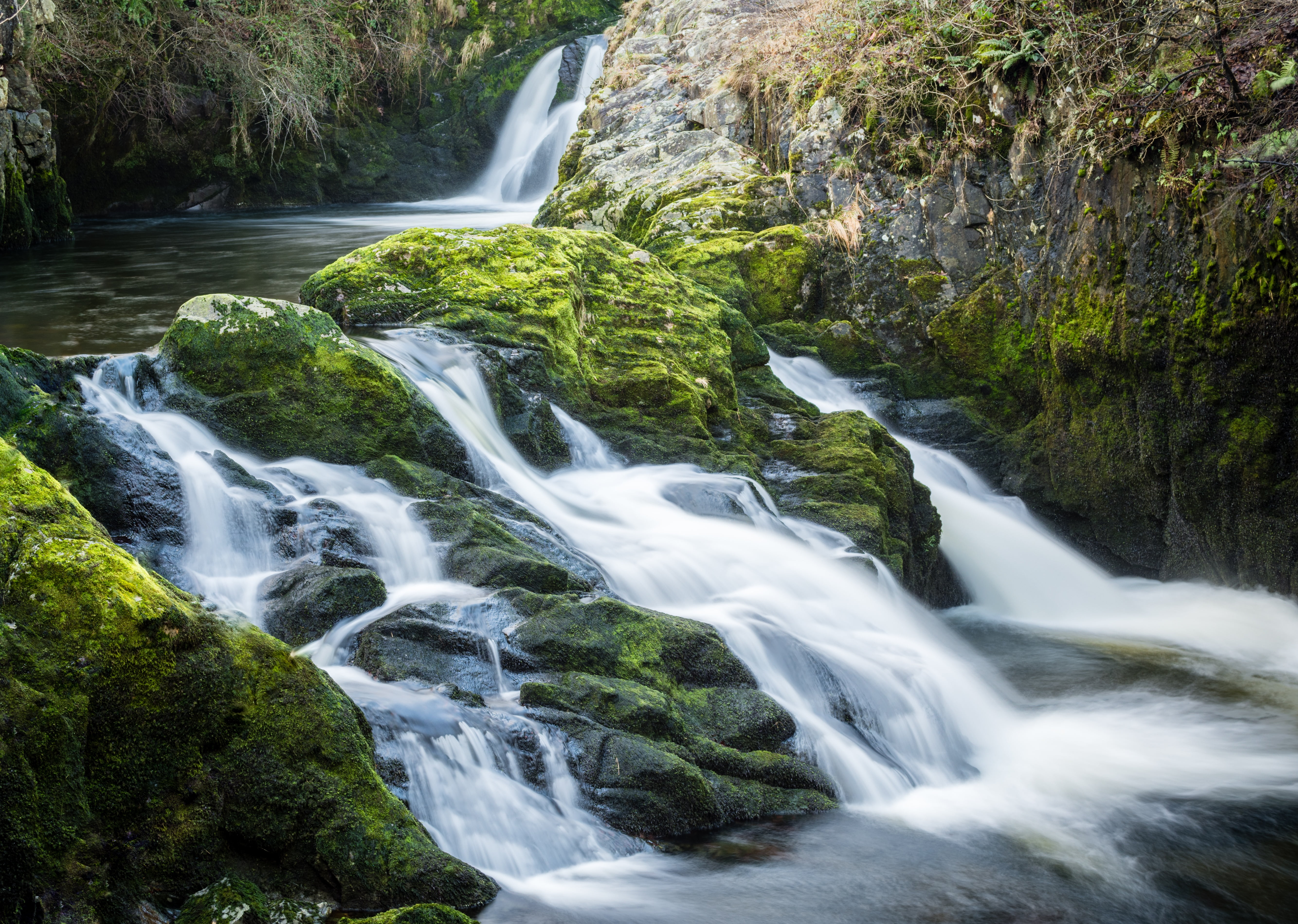 falling water, motion, dales, nature, valley, cascade, tree, outdoors, england, waterfall, land, attractive, 5K, uk, trail, freshness, river, limestone, HD Wallpaper
