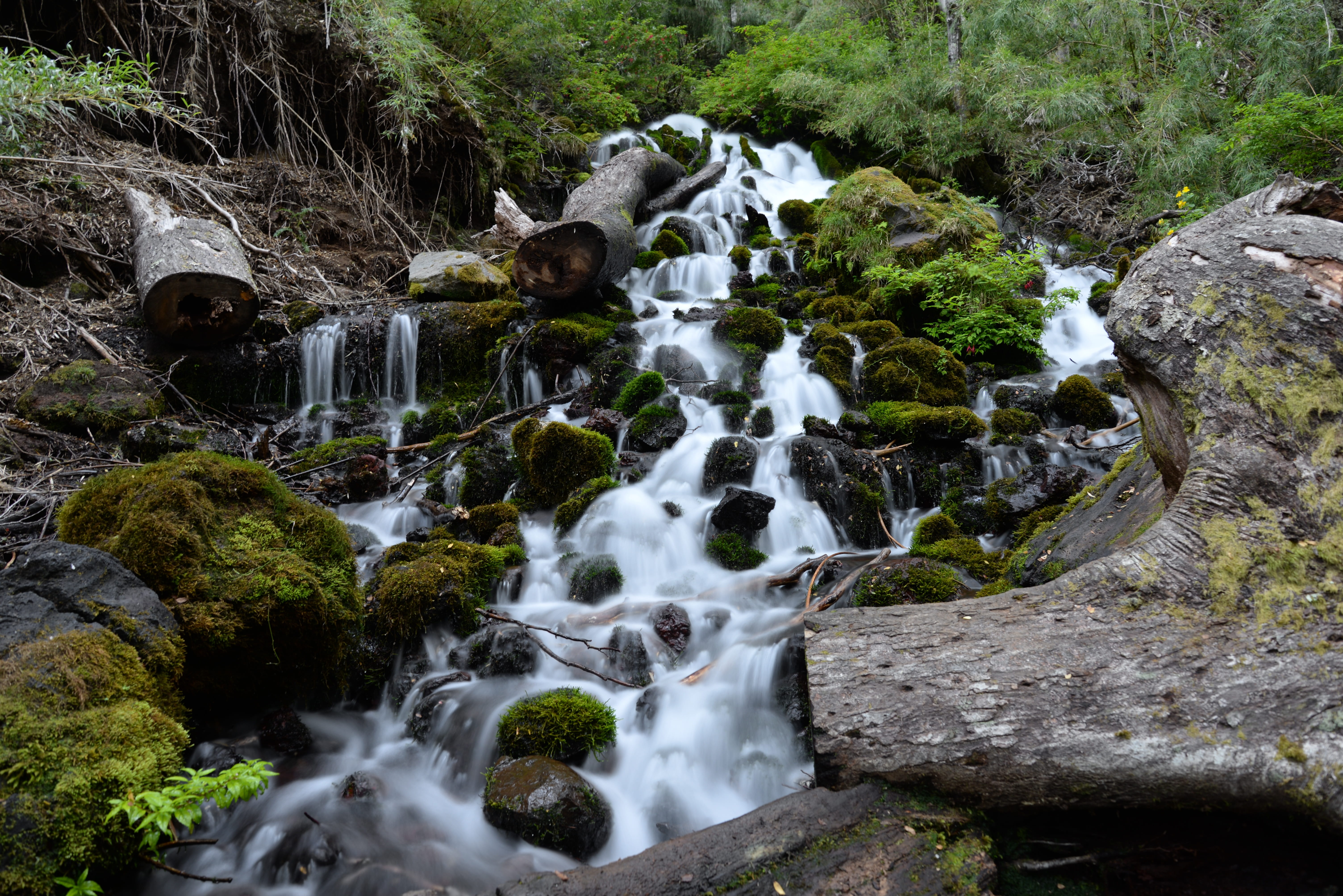 flowing, southern forest, landscape, waterfall, tree, stream - flowing water, no people, falling water, motion, forest, waterfalls, tranquility, nature, HD Wallpaper