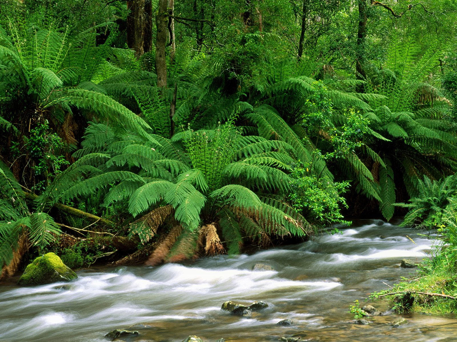 park, ranges, yarra, national, 720P, australia, hd, nature, landscape, HD Wallpaper