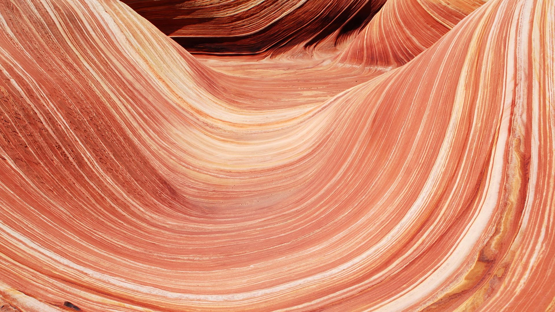 orange, surface, coyote, north, buttes, curved, hd, 1080P, HD Wallpaper
