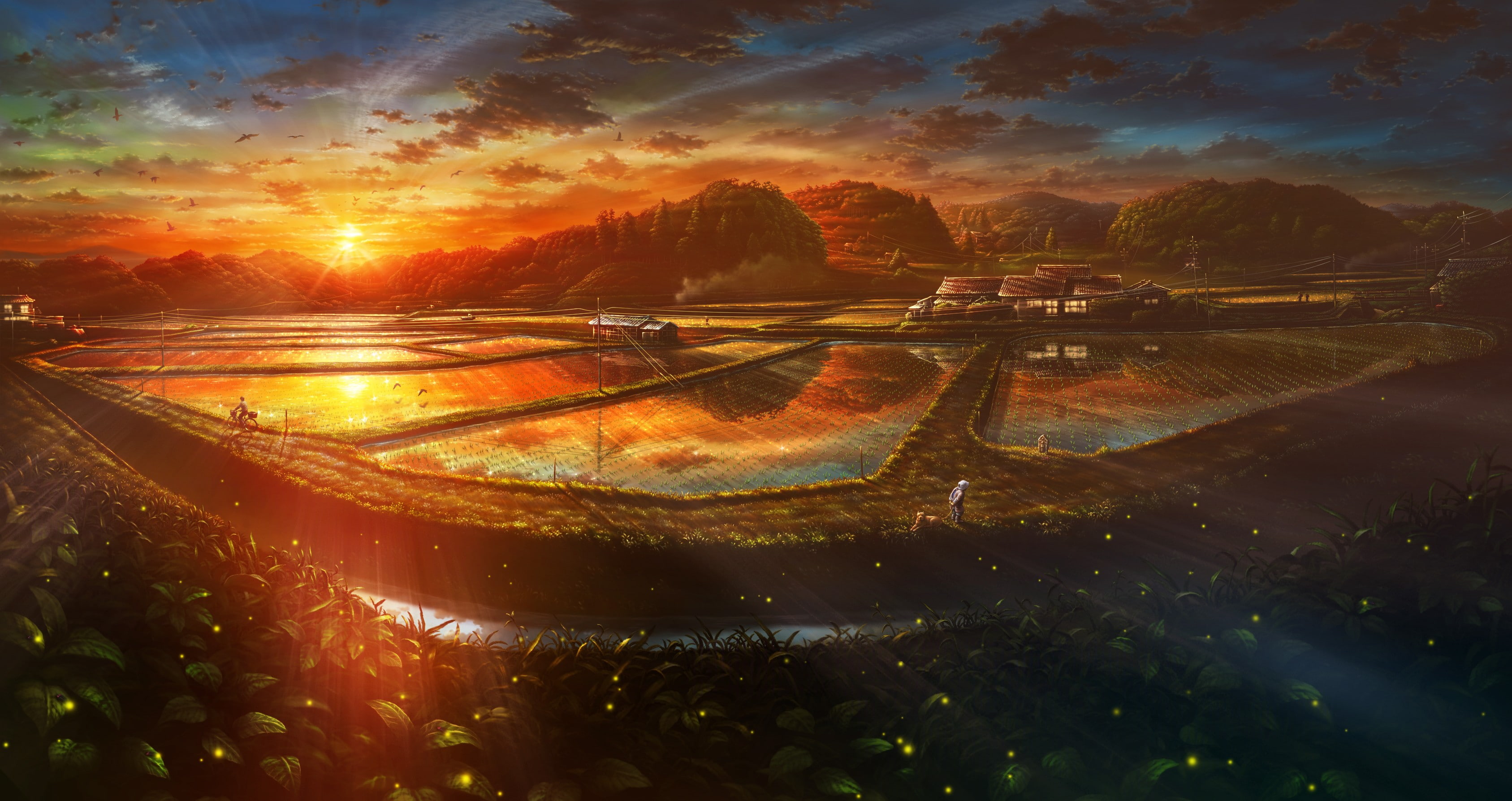 Japan, farm, artwork, 2K, leaves, Japanese, fireflies, landscape, sunlight, terraced field, HD Wallpaper
