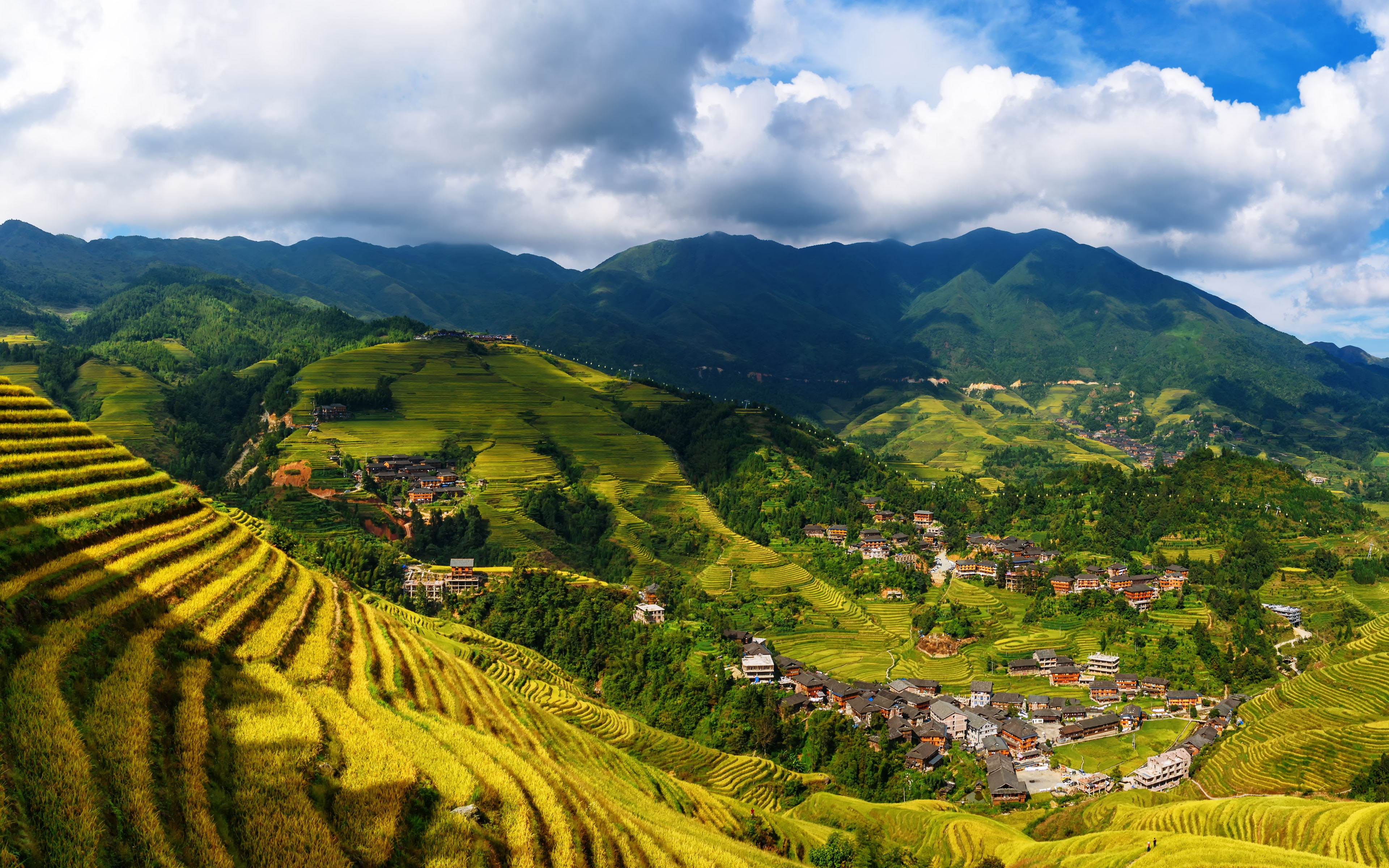 mountain range, beauty in nature, mountain, rice - cereal plant, land, rice paddy, no people, terraced field, plantation, scenics - nature, plant, longji, HD Wallpaper