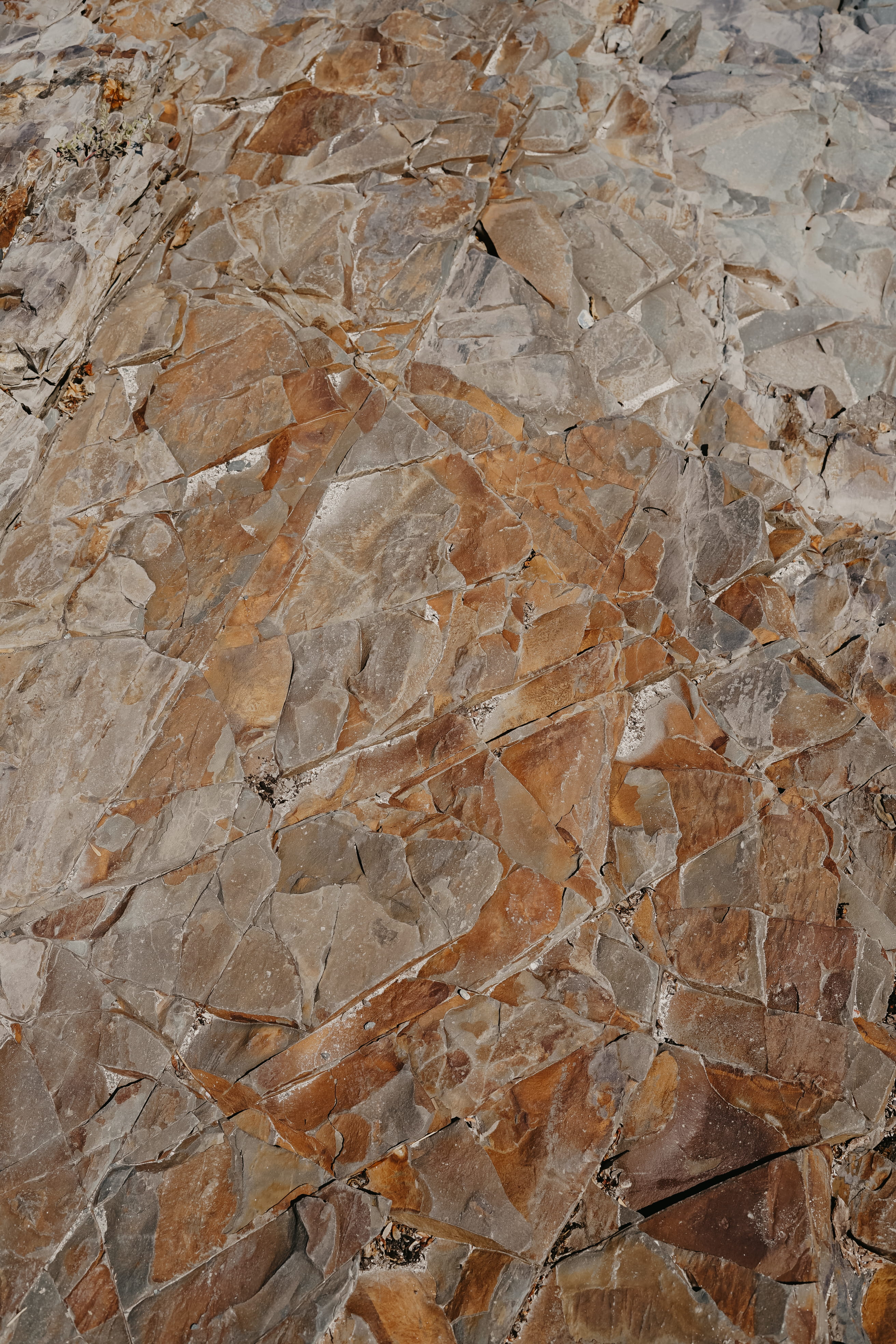 marble, clean, beauty in nature, flooring, texture, no people, face, cricket insect, animal, photo, portrait, textured, outdoors, frame, backgrounds, gray, Phone HD Wallpaper