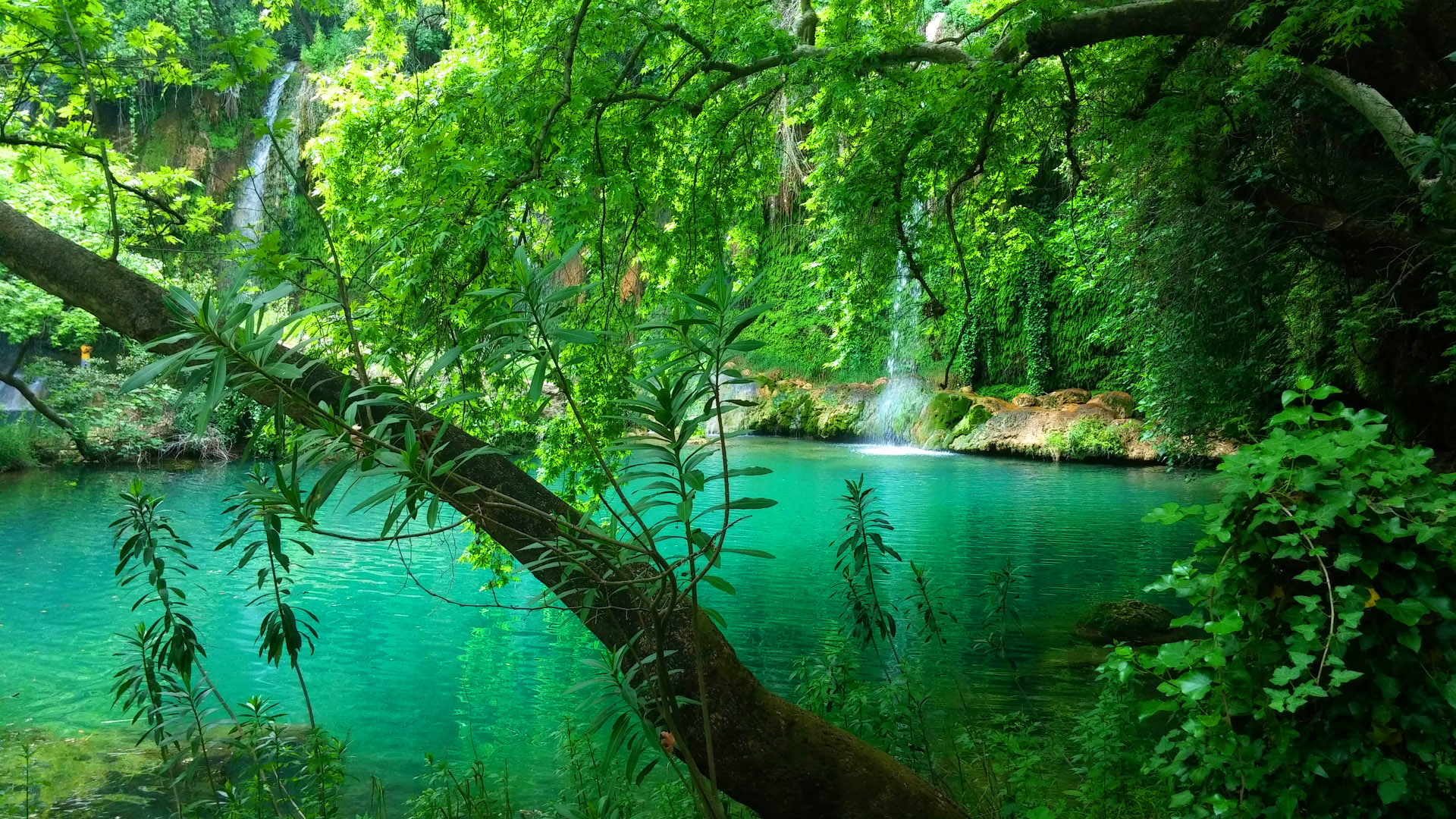 kur, turquoise, forest, hd, turkey, desktop, green, antalya, province, 1080P, water, unlu, pine, waterfall, HD Wallpaper