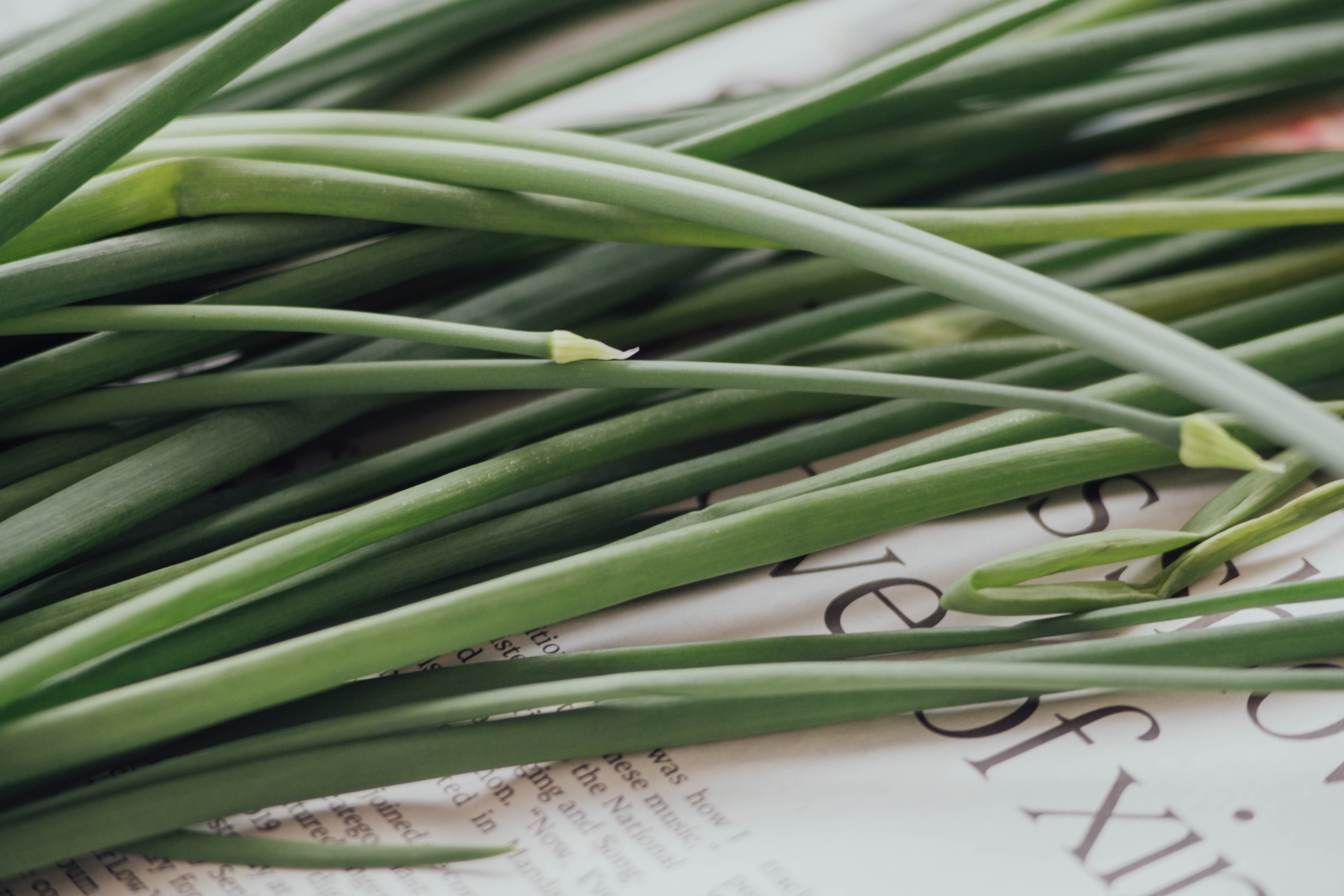 food and drink, high angle view, indoors, root, vegetable, leek, growth, no people, onion, wire, text, document, seasoning, freshness, still life, raw food, HD Wallpaper