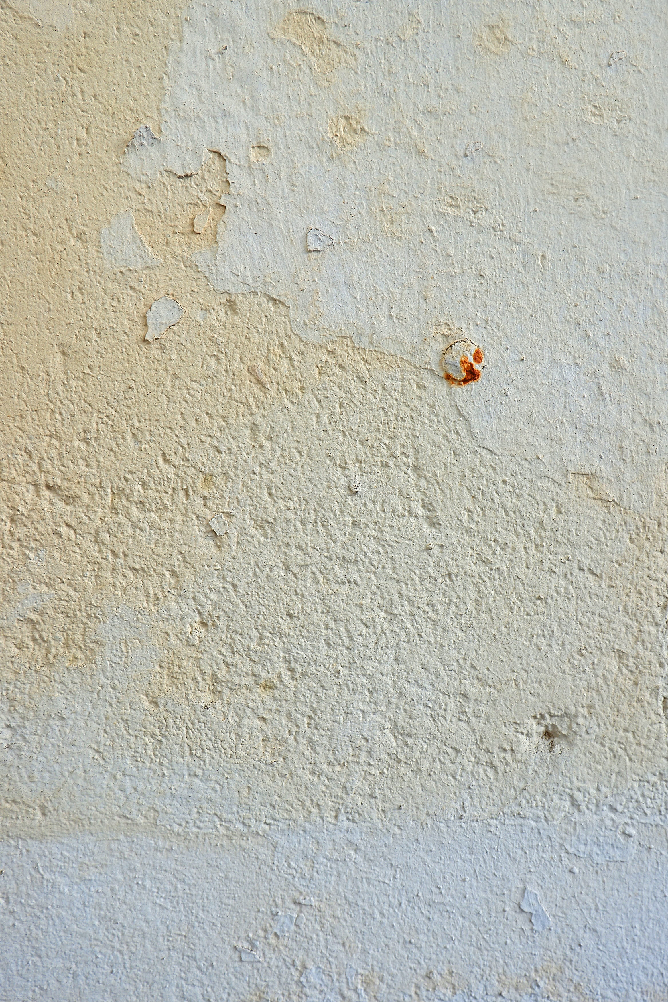 architecture, spider, textured, beetle, soil, plant, archaeology, floor, wall - building feature, animal, stain, day, rug, nature, animal wildlife, corner, Phone HD Wallpaper