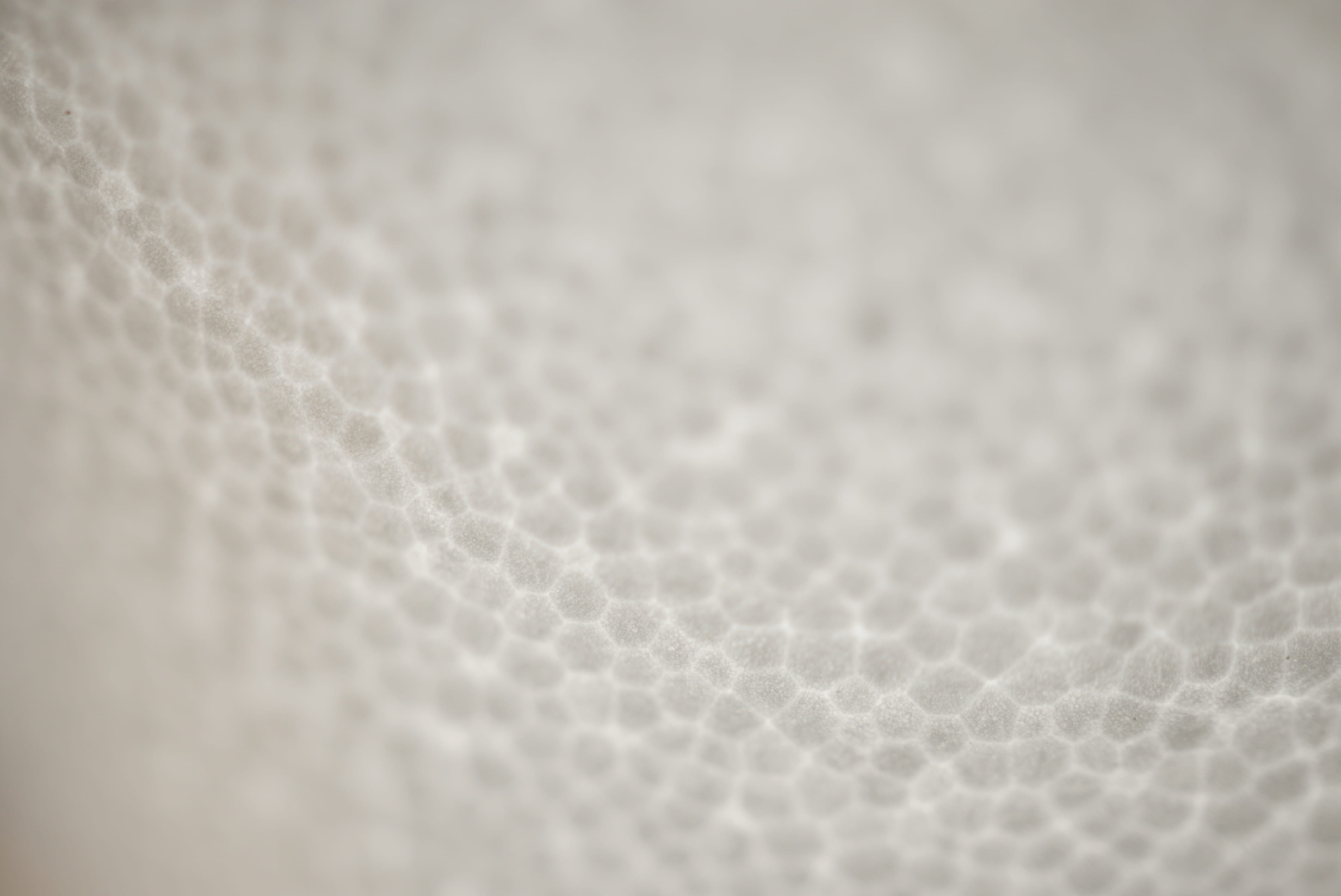 mold, texture, selective focus, towel, white color, stain, hip, textile, page, navel, text, macro, canvas, food, full frame, honeycomb, backgrounds, foam, HD Wallpaper