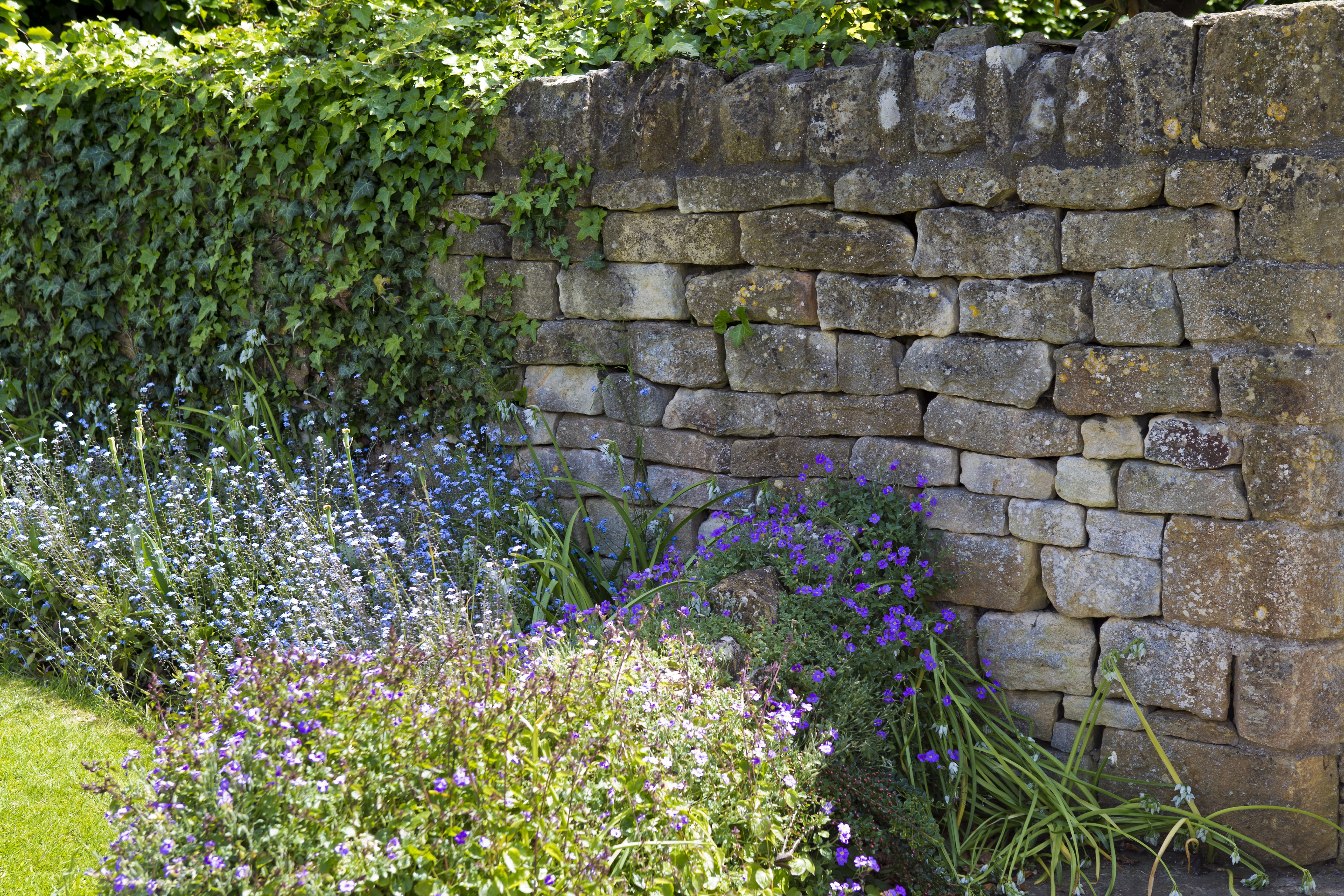 wall, freshness, stone wall, built structure, brick, limestone garden wall, plant, uk, drystone walling, outdoors, cotswold, flower, ornamental garden, HD Wallpaper