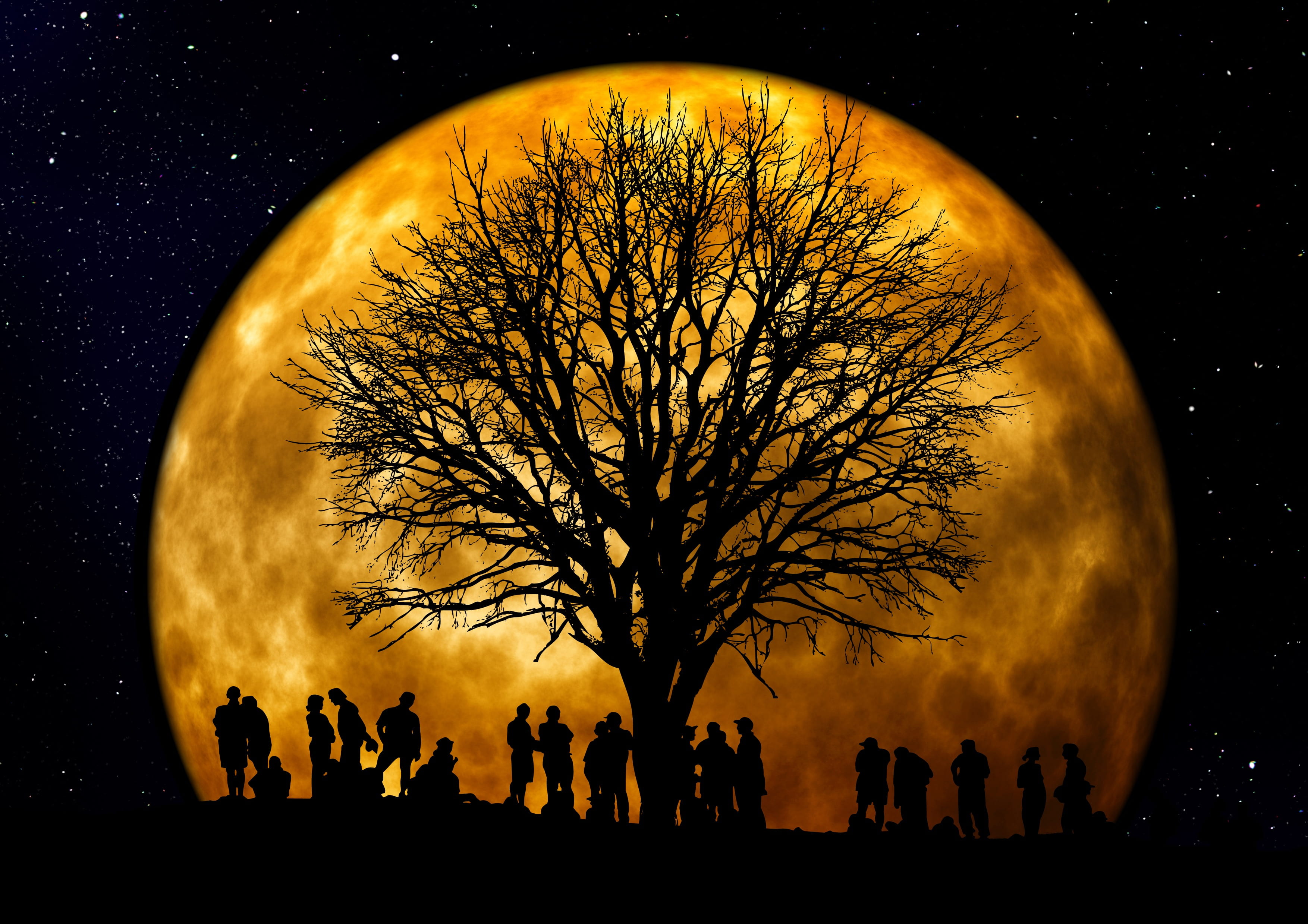 silhouette, full moon, community, sky, group of people, stars, people, moon, crowd, standing, outdoors, space, star - space, orange color, bare tree, 2K, HD Wallpaper