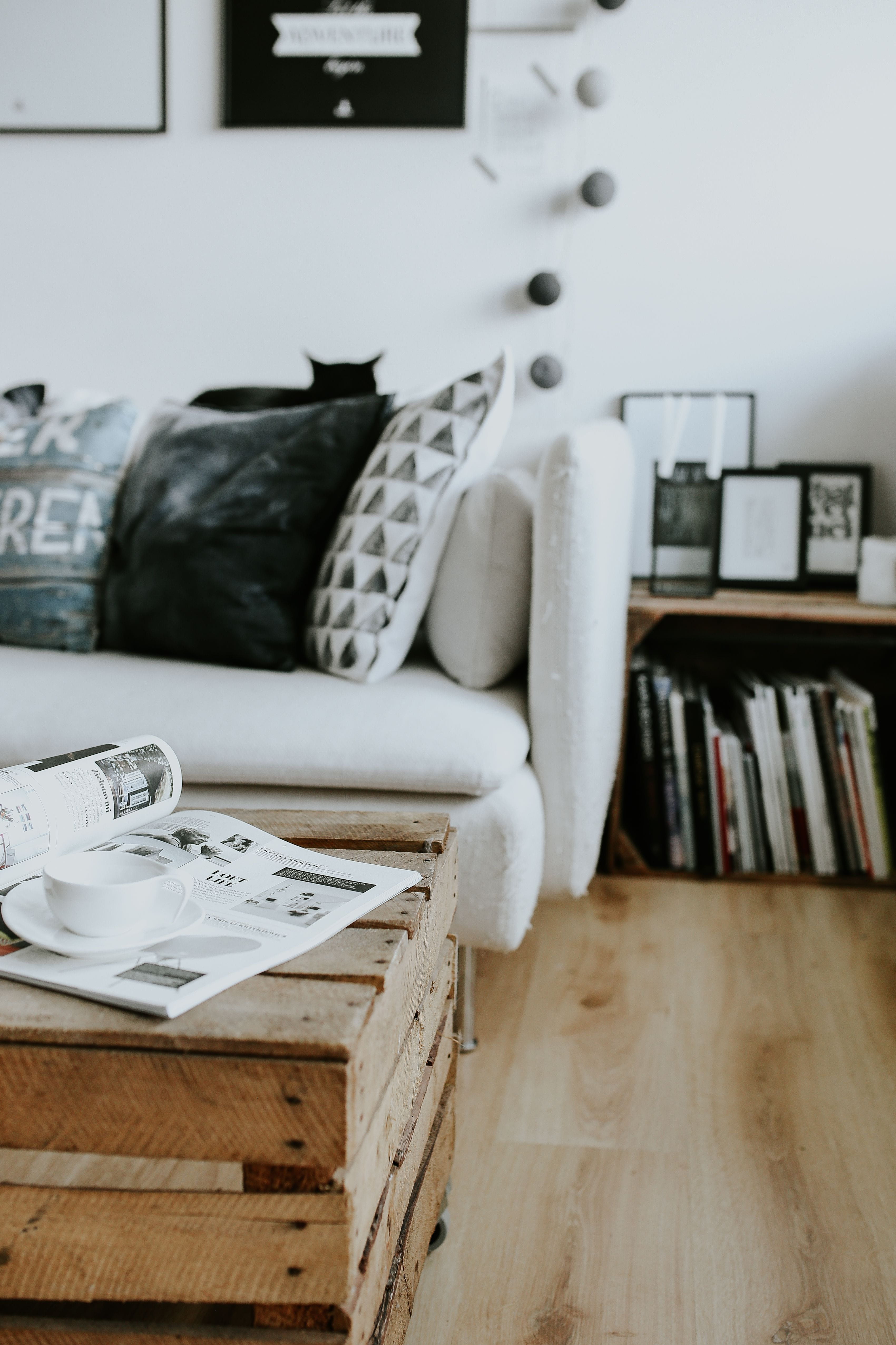 stylish, living Room, decoration, book, home Interior, seat, modern, Contemporary, focus on foreground, shelf, bookshelf, cat, pillow, furniture, sofa, Phone HD Wallpaper