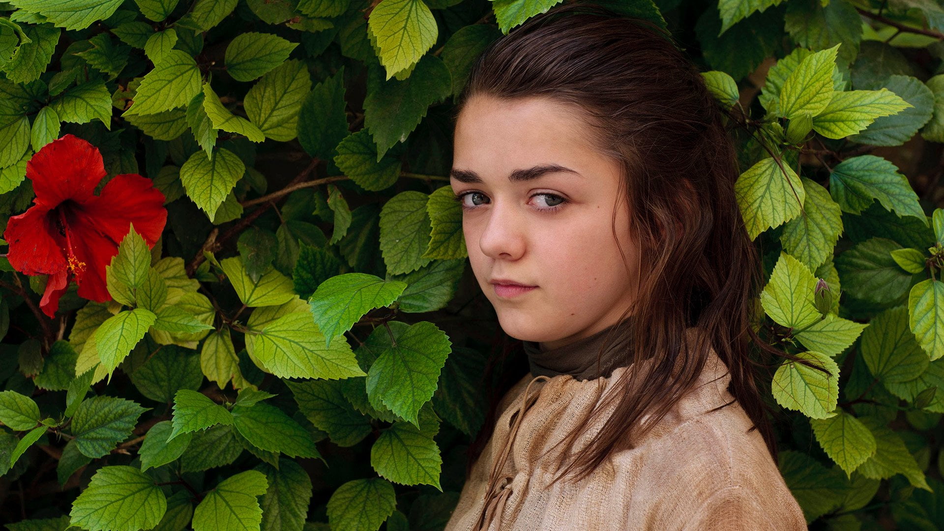 headshot, plant, long hair, lifestyles, leaves, Arya Stark, green color, portrait, beauty in nature, plant part, looking at camera, close-up, 1080P, Game Of Thrones, HD Wallpaper