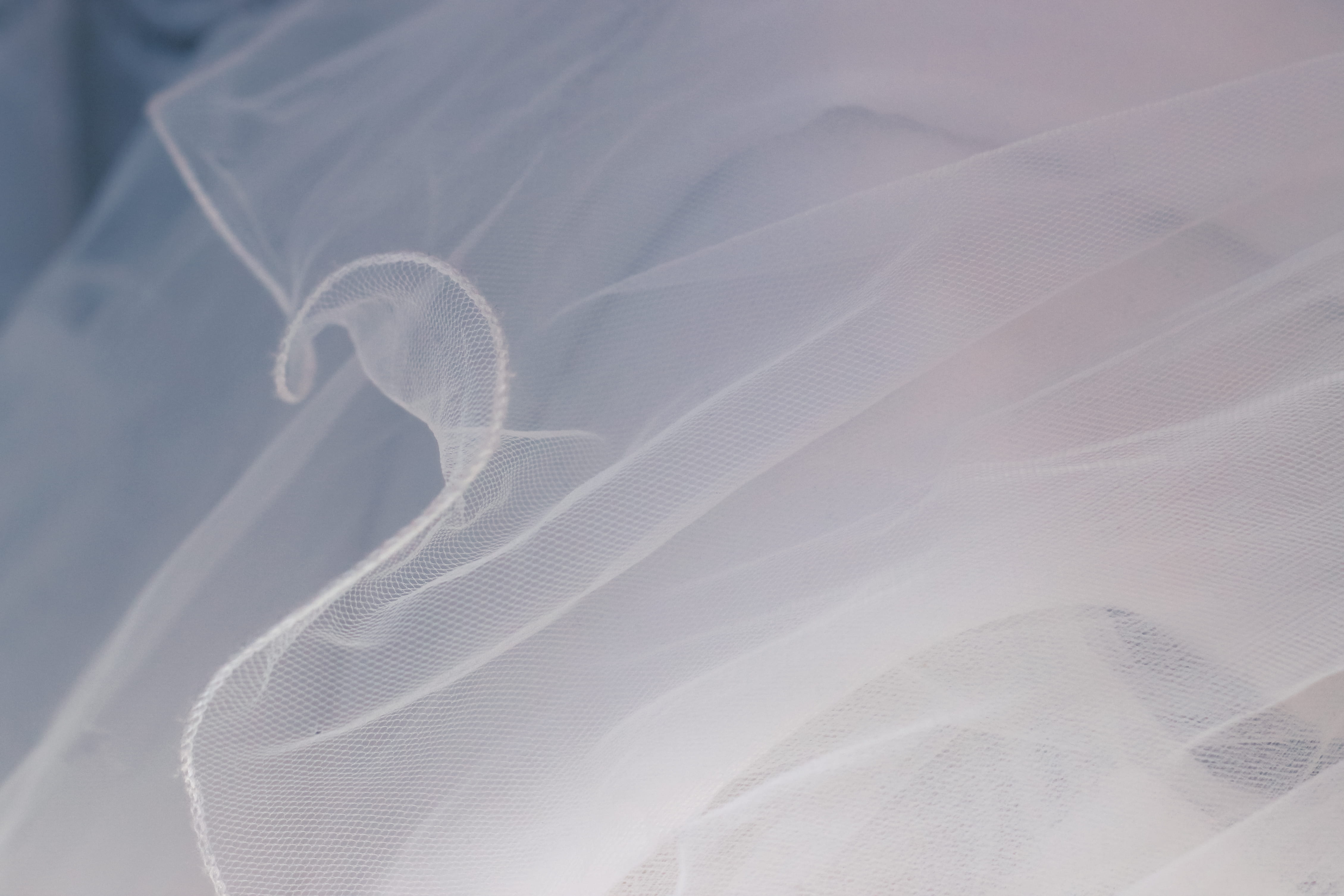 abstract backgrounds, indoors, white mesh, macro, animal, no people, close-up, textured, animal themes, pattern, wedding, net, full frame, sheer, white, HD Wallpaper