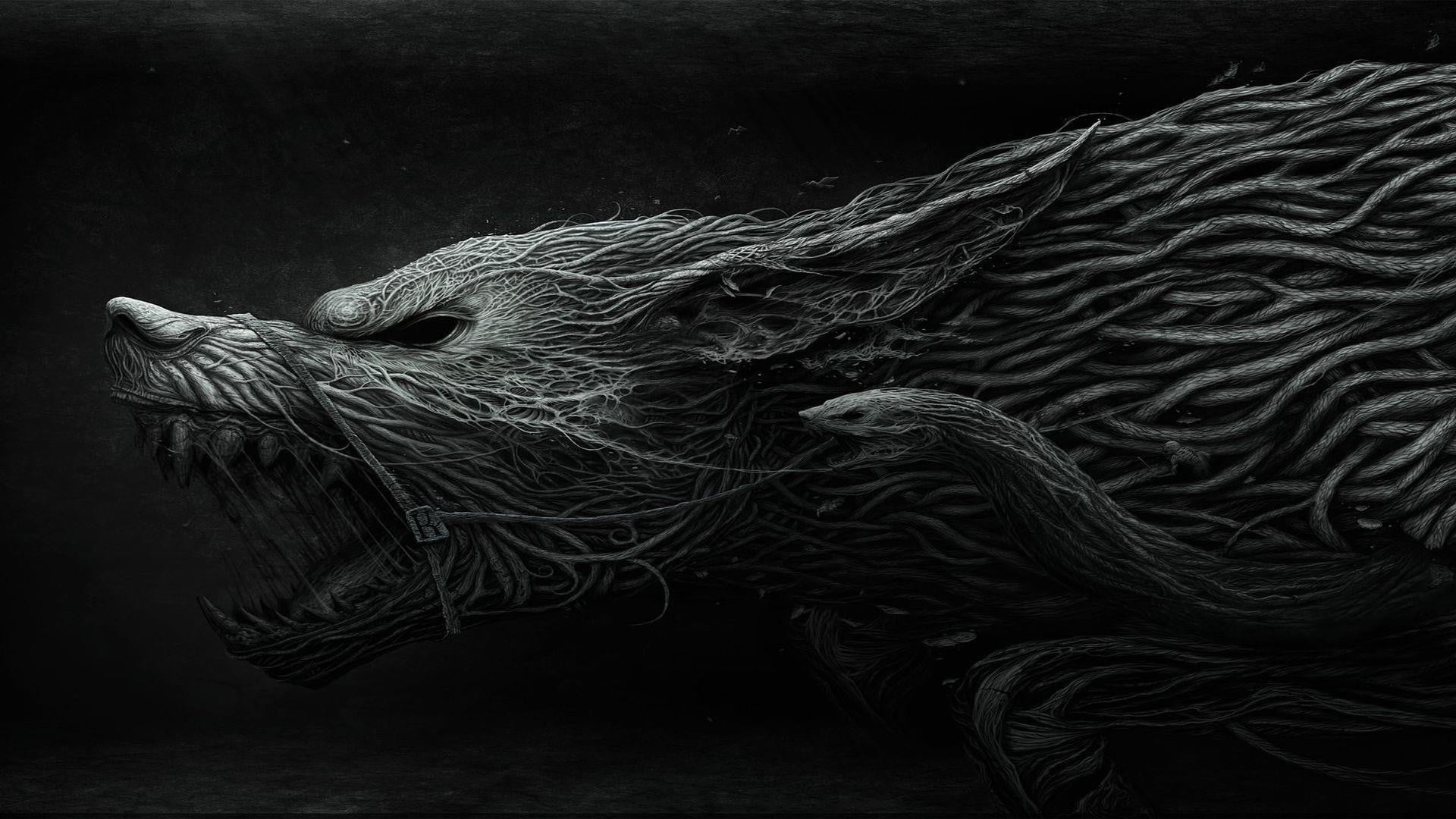 commercial fishing net, vertebrate, animals in the wild, 1080P, water, underwater, animal themes, monochrome, animal wildlife, textile, mammal, animal, HD Wallpaper