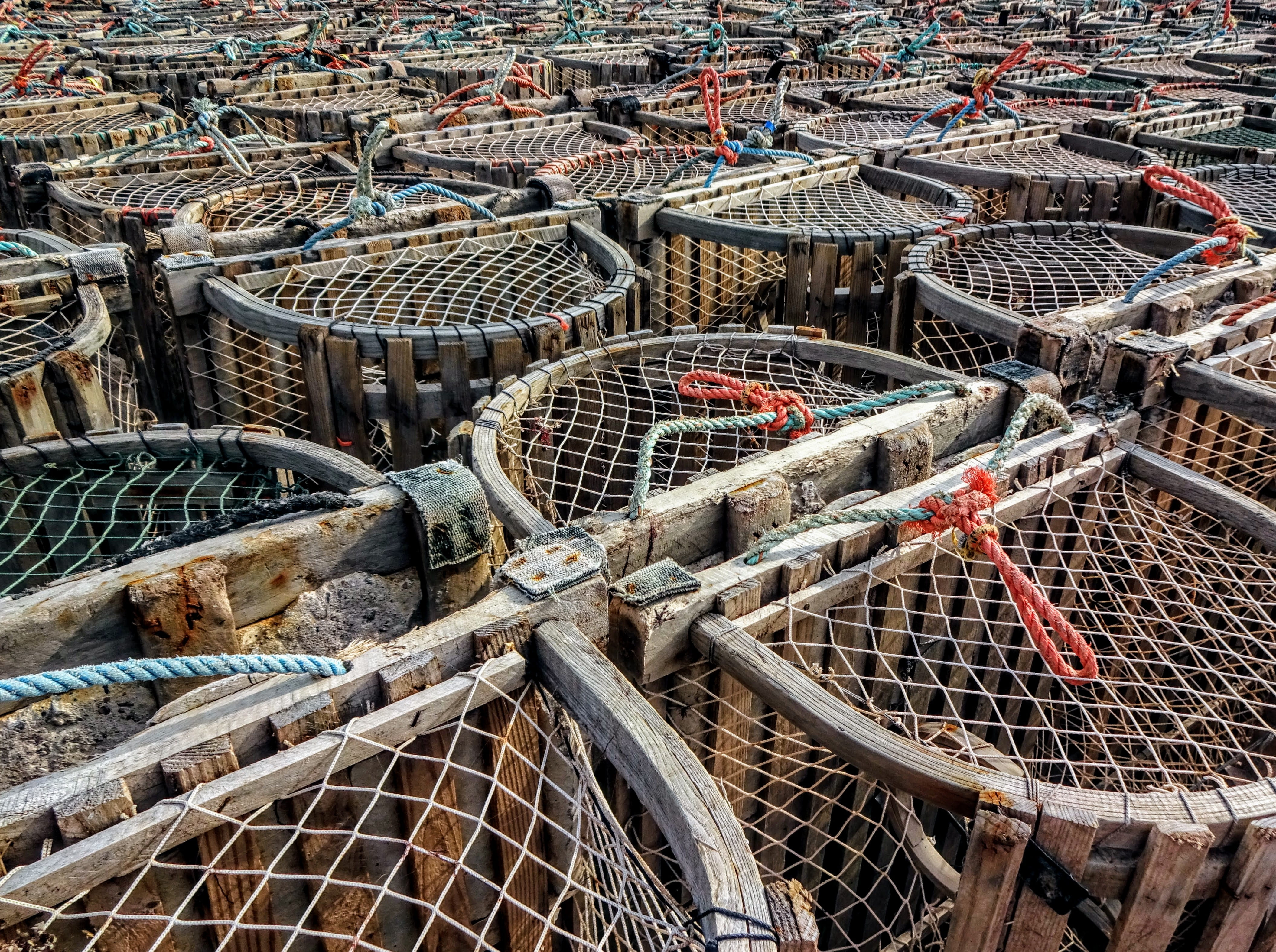 outdoors, no people, rod, 4K, rope, rusty, commercial fishing net, fishing rod, fishing, canada, mode of transportation, prince edward island, large group of objects, HD Wallpaper