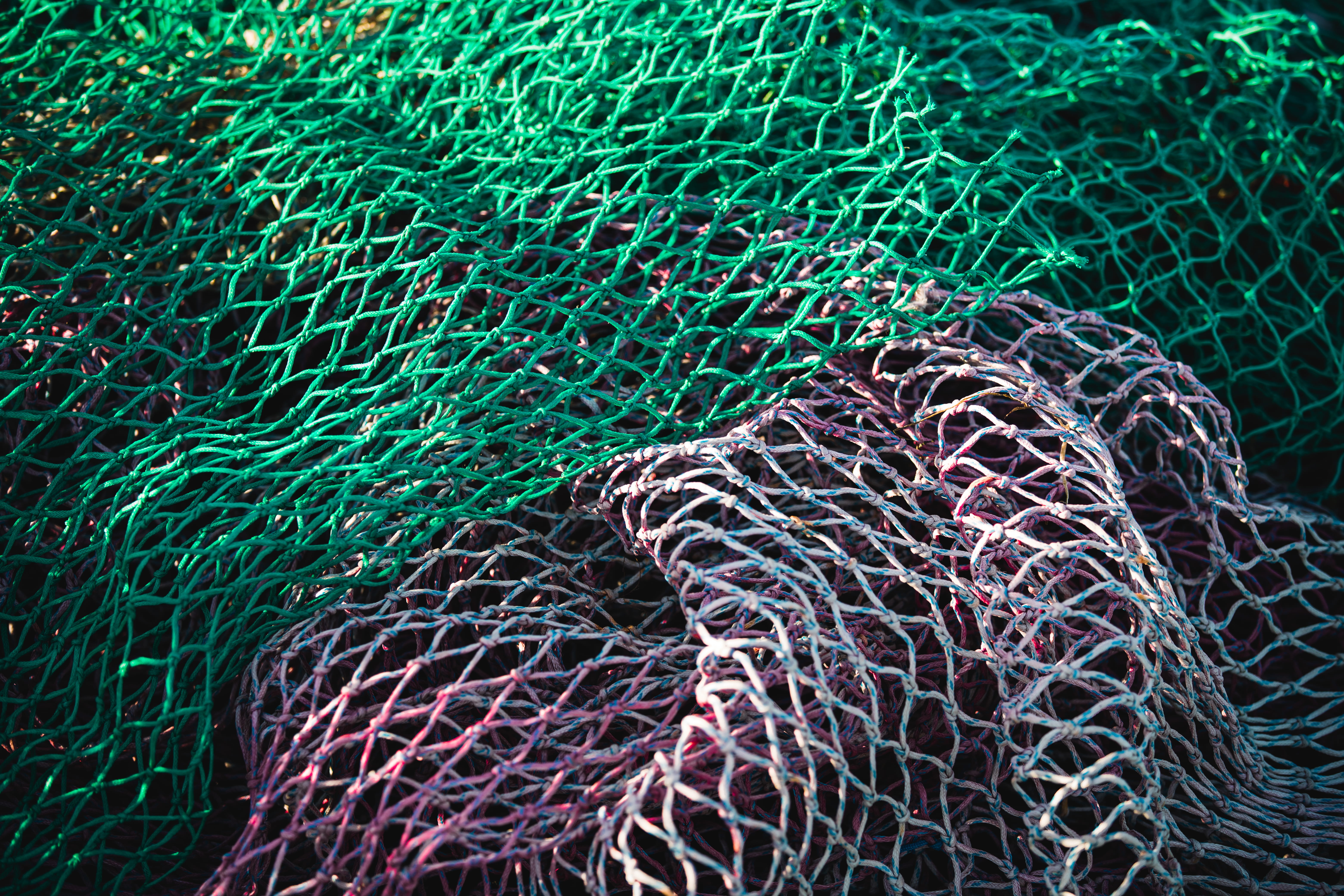 fish, 5K, sunlight, harbour, close-up, full frame, france, trawling, la turballe, turquoise colored, water, nature, blue, pattern, high angle view, netting, HD Wallpaper