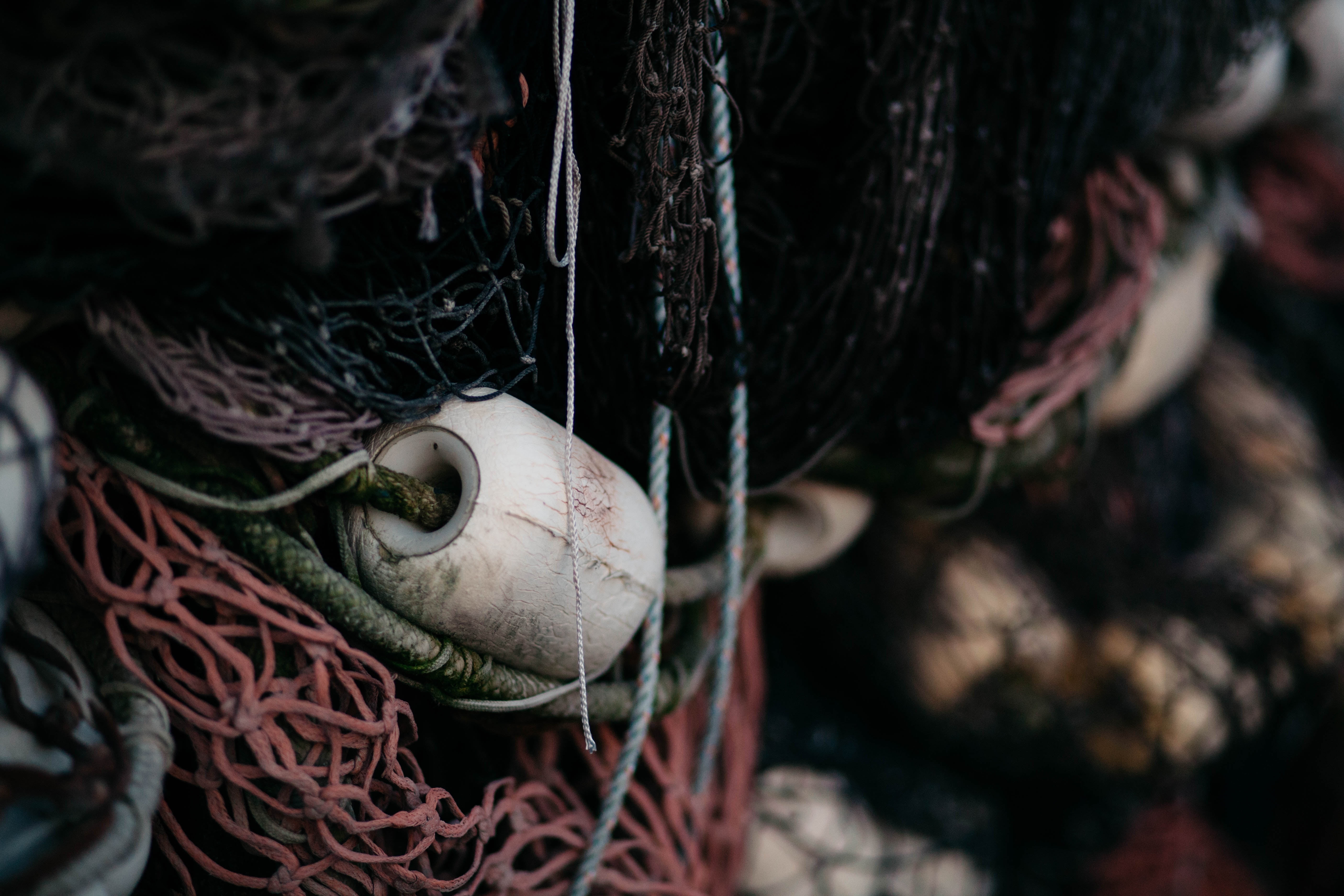 sea, no people, commercial Fishing Net, weaving, representation, vertebrate, focus on foreground, art and craft, fishing Industry, industry, fishing Net, HD Wallpaper