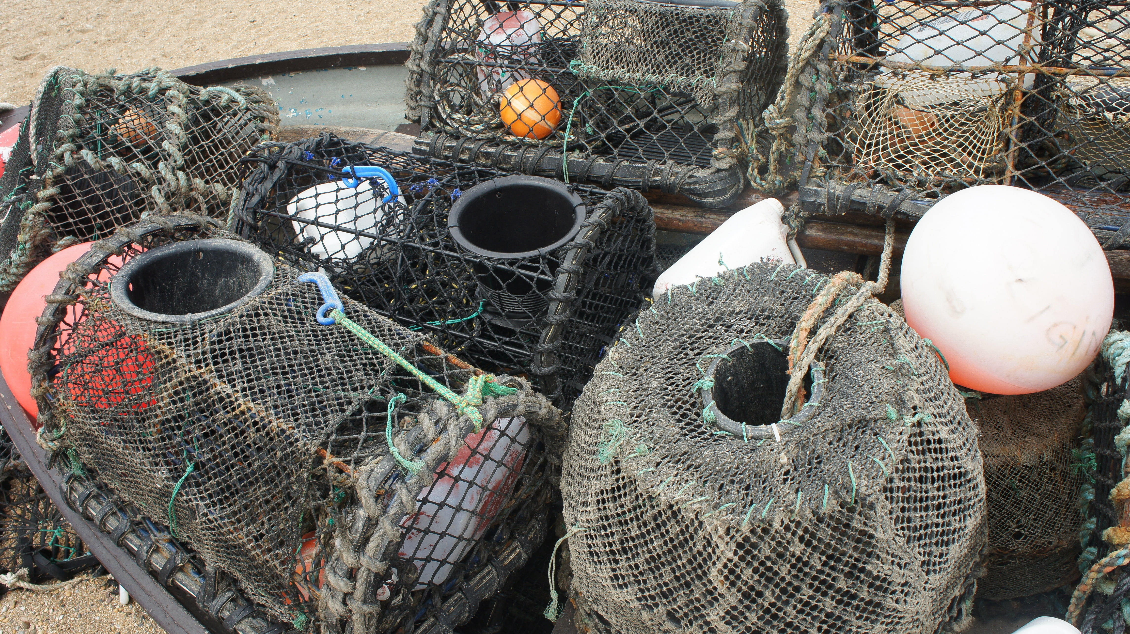 fish, no people, variation, nature, water, still life, ocean, fishing rod, fishing industry, stack, choice, day, green, traps, fishing net, 4K, cage, just, HD Wallpaper