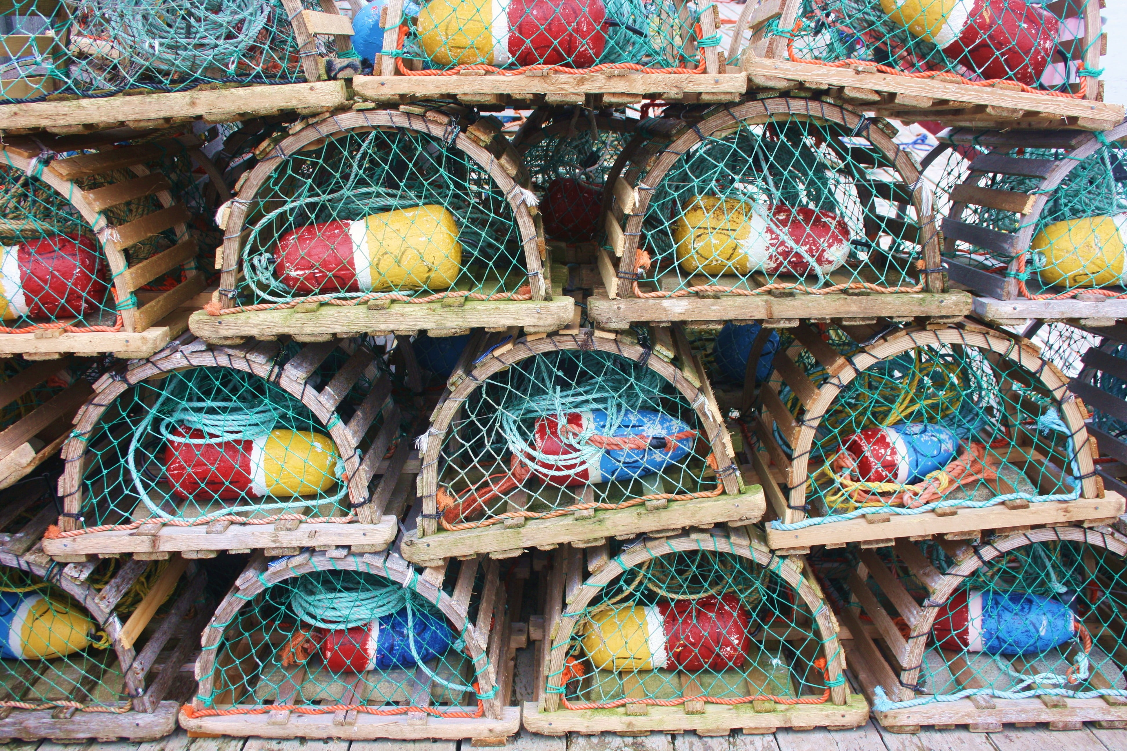 countryside, animal, fisherman, traditional, full frame, catch, tourist, abundance, basket, stack, art and craft, lobster, creativity, retail, landscape, HD Wallpaper