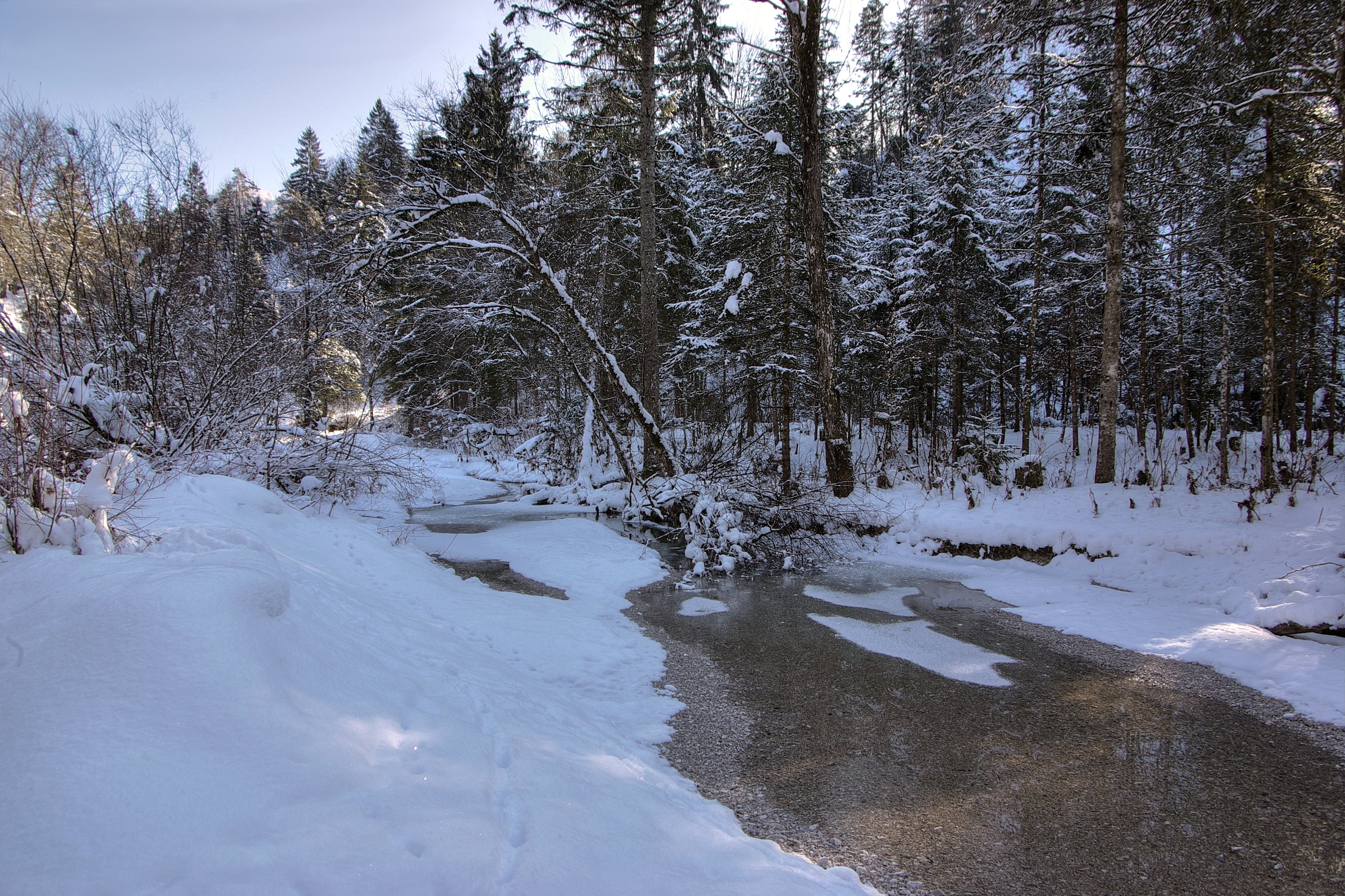 pine Tree, white, scenics, non-Urban Scene, landscape, christmas, white color, ice, tranquility, winter, 4K, river, leafless, beauty In Nature, blue, forest, HD Wallpaper