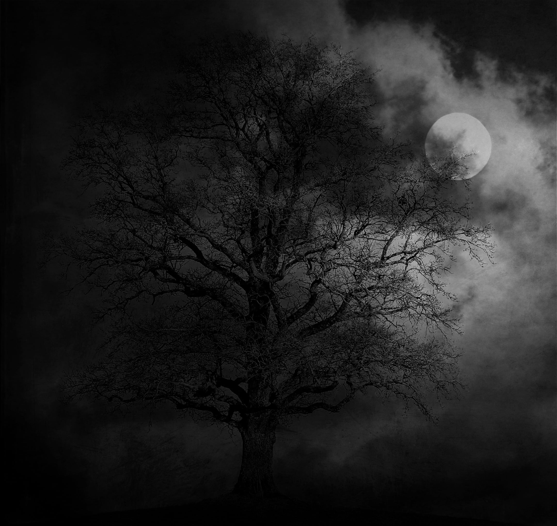 moon, tranquility, landscape, grayscale, branch, spooky, night, land, no people, mystical, beauty in nature, photo, leafless, plant, cloud - sky, full moon, HD Wallpaper