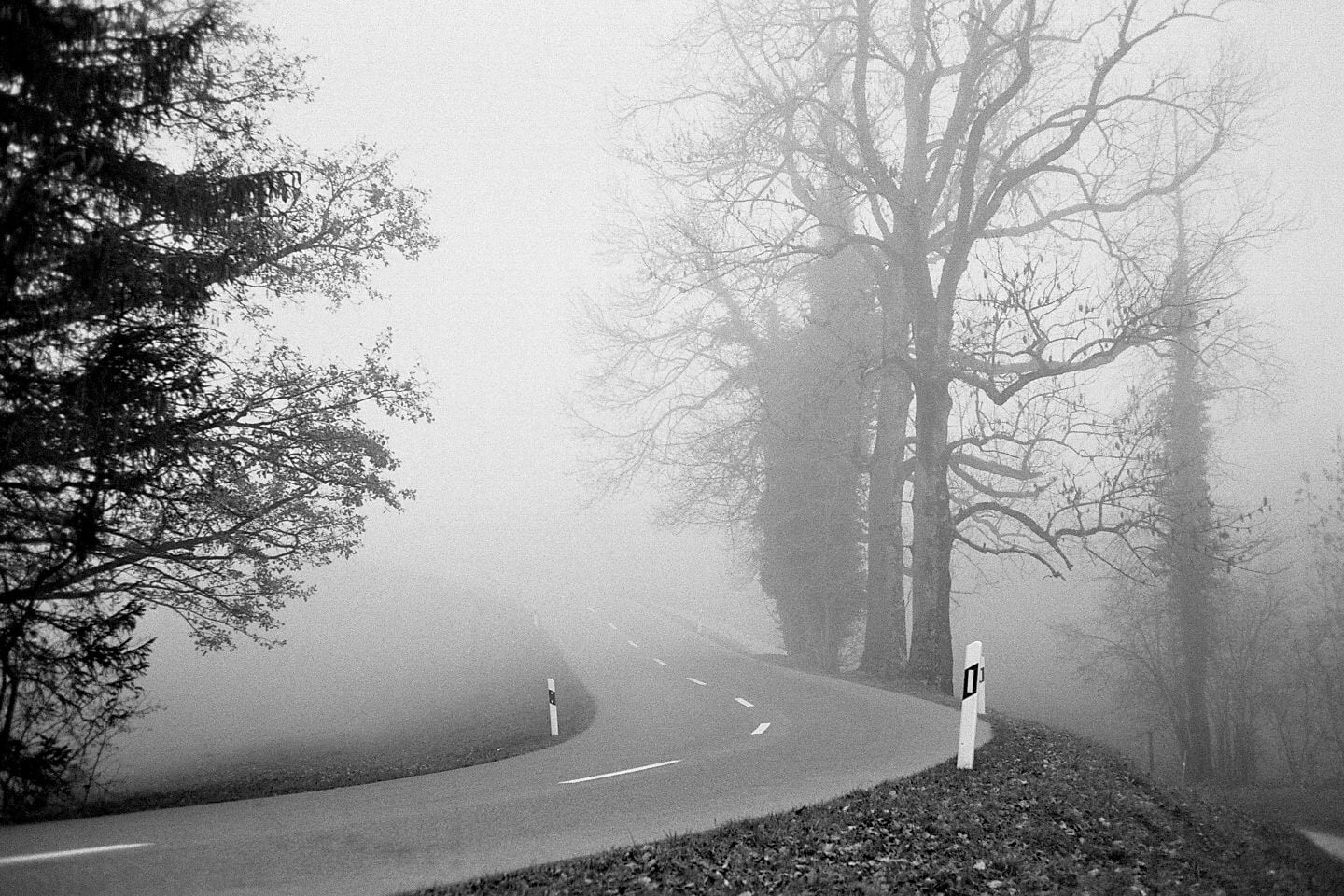 Ric, Analog, Grain, City, B/W, forest, Creative Commons, outdoors, left eye, 35mm Film, Explore, Candid, Schweiz, Ilford, S/W, Hütten, Switzerland, tog, HD Wallpaper