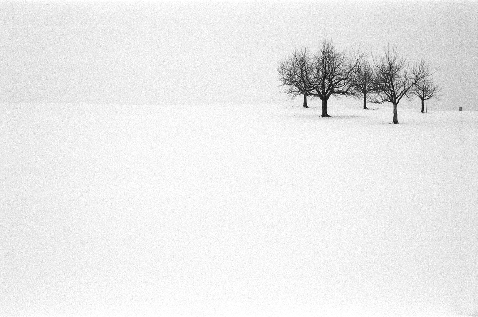 Grain, prime lens, cold - Temperature, nature, Film, Snap, eyed, Ilford Delta, Landscape Photography, Capucho, tog, 35mm, Switzerland, landscape, white, HD Wallpaper
