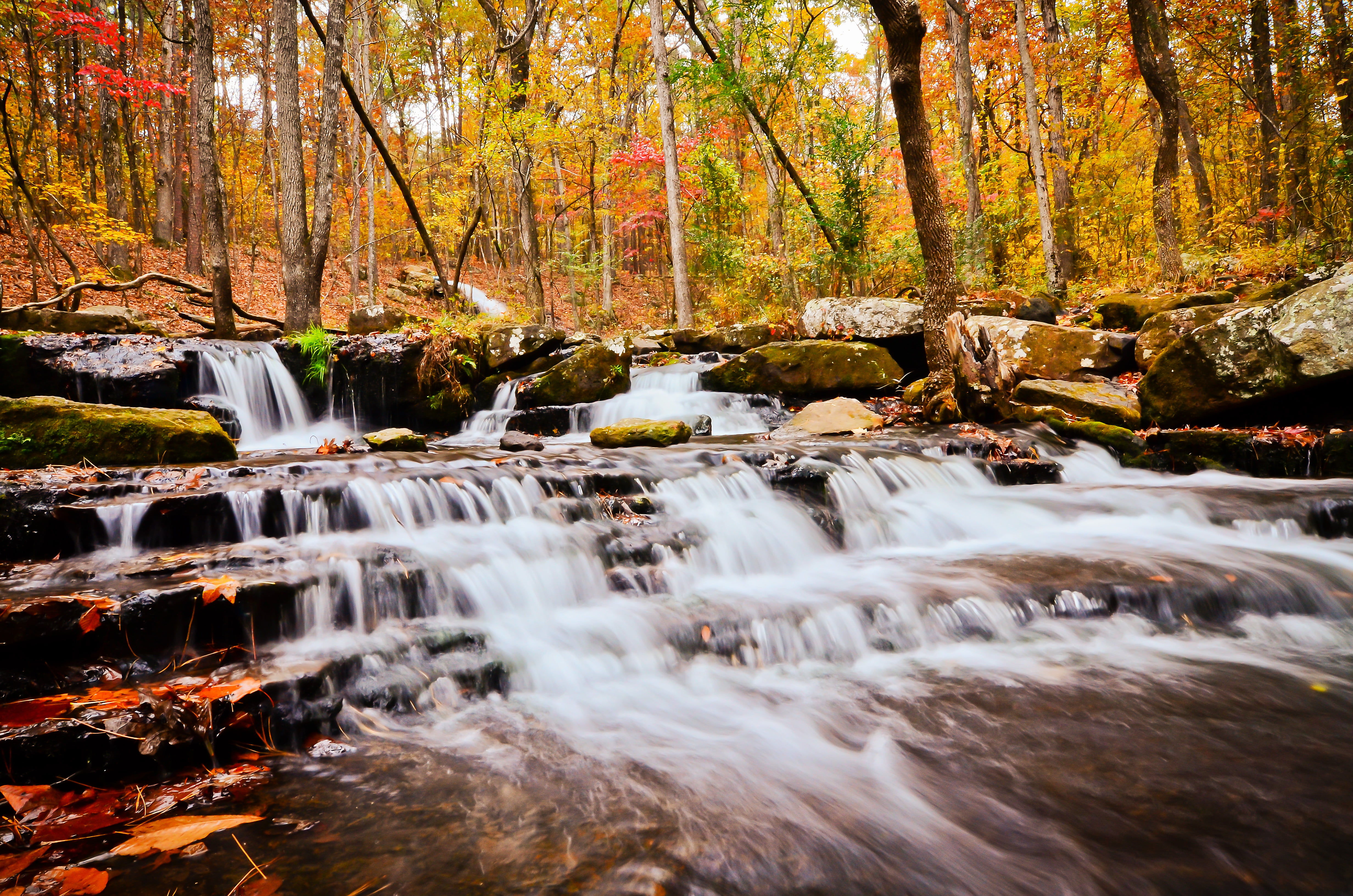 street, stream, springs, Best  Camera, beauty In Nature, City, Creative  Commons, scenics, Black  White, USA, landscape, Decisive  Moment, Moments, daytime, HD Wallpaper