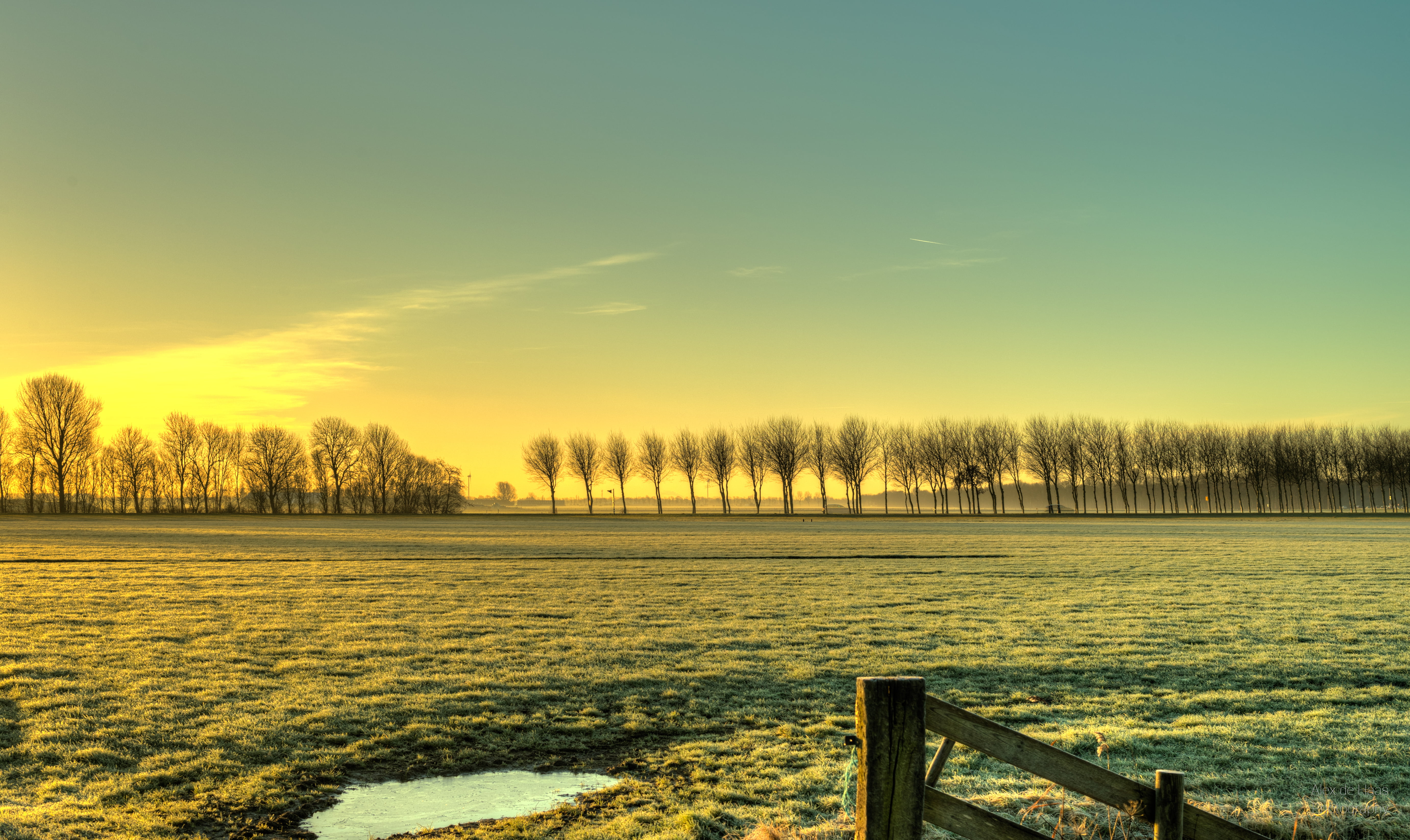 farmland, licht, forest, warm, skies, winter, polder, landscape, light, sunset, outdoors, trees, outdoor, weiland, beauty, grass, meadow, tree line, sunrise, HD Wallpaper