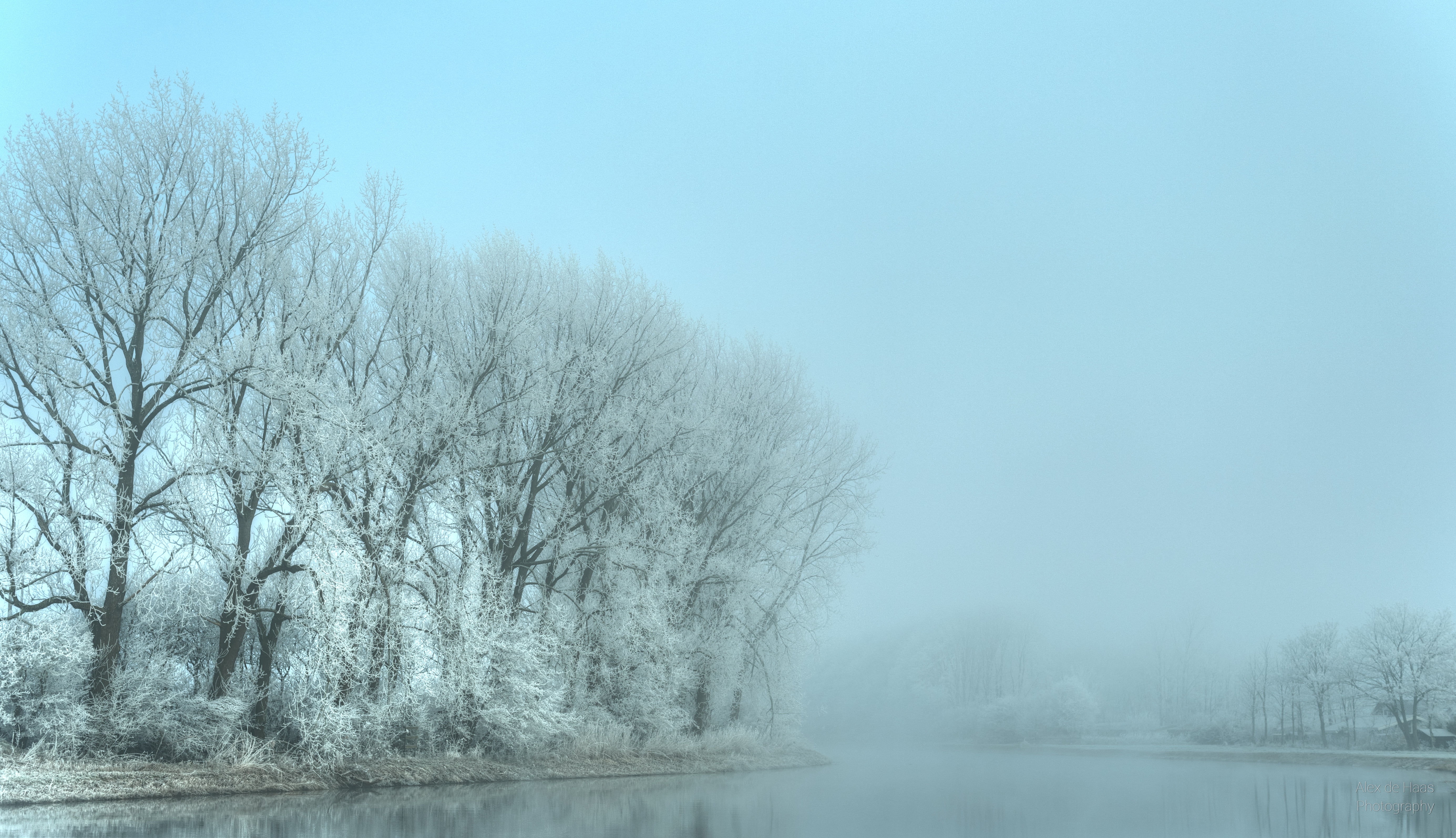 tree, snow, West-Friesland, black, mist, Nikon D5, zing, light, nevel, landscape, cold, Lost in the fog, daylight, frost, misty, canal, nature, Noord-Holland, HD Wallpaper