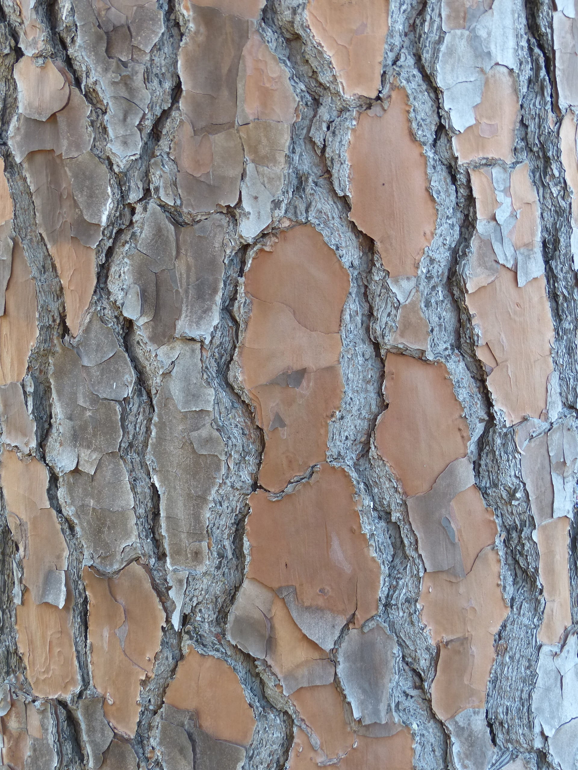 damaged, material, abstract, Wood, rough, close-up, trunk, architecture, lumber, built structure, surface Level, flooring, cracked, marble, cement, wall, Phone HD Wallpaper