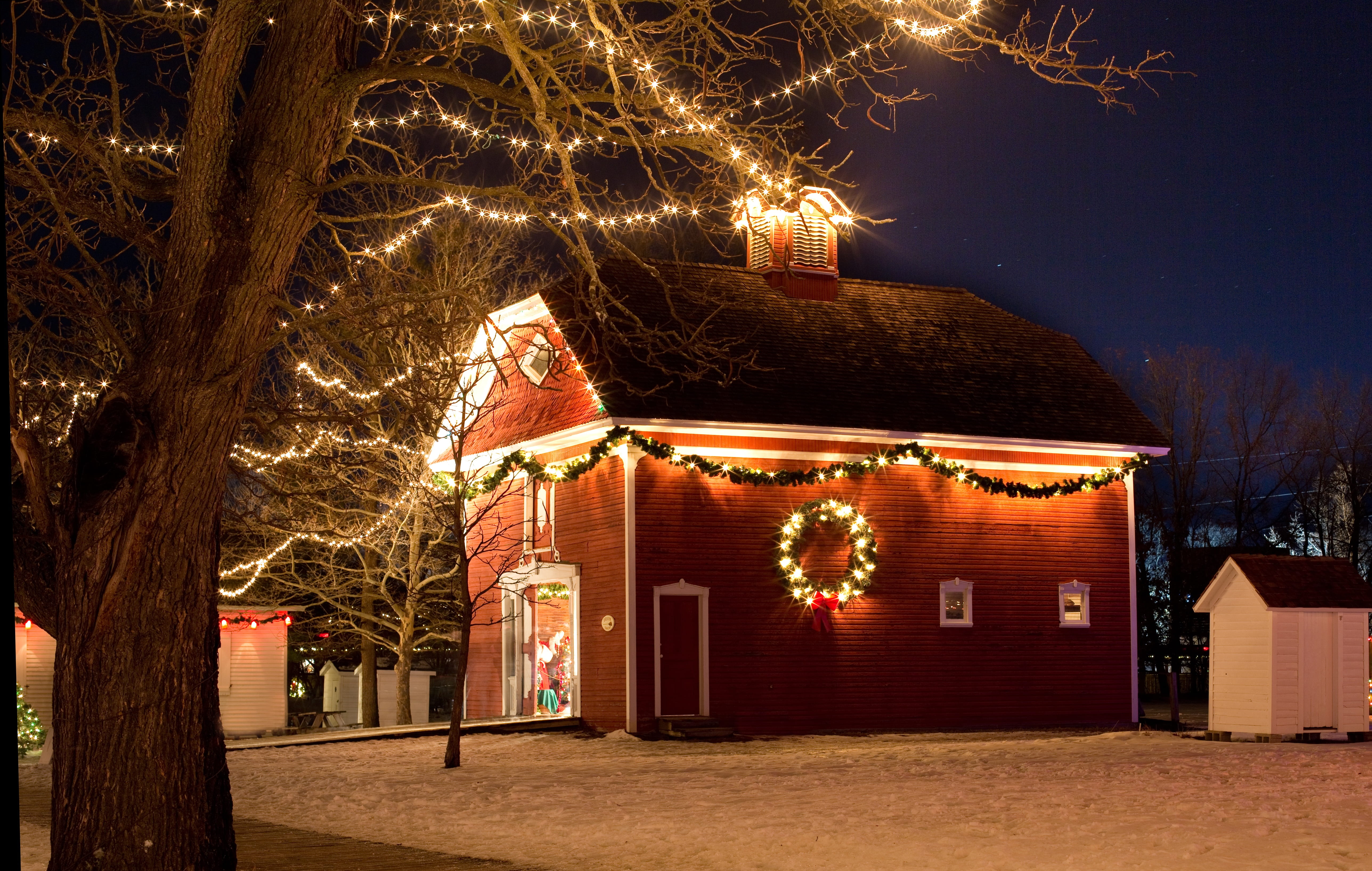 plant, nature, building exterior, christmas decoration, town, red, illuminated, red house, tree, xmas lights, building, christmas, near, decoration, home, HD Wallpaper