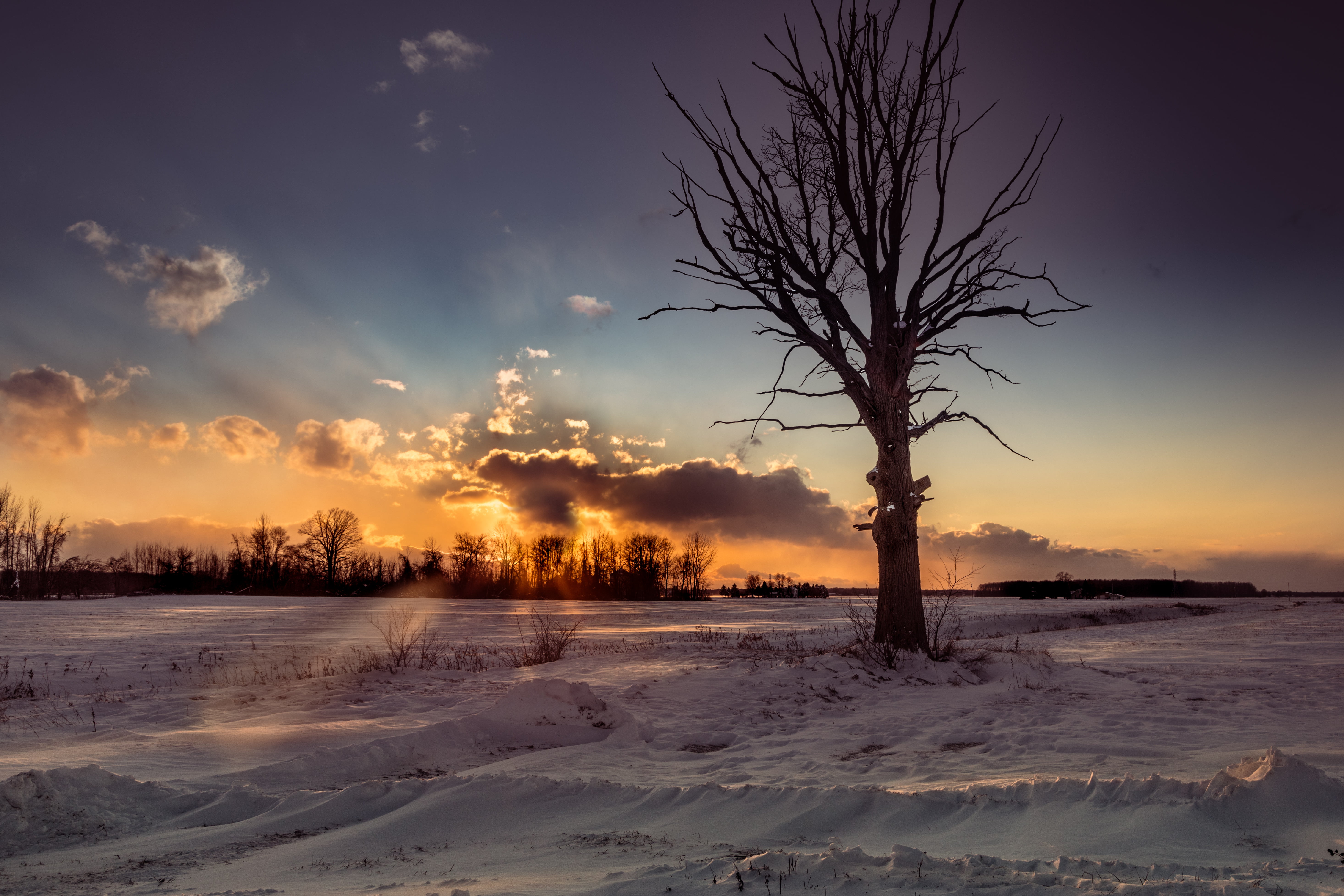 sentinel, scenics, nube, cloud, barren, winter, sky, dusk, nature, invierno, drift, campo, snow, frigid, cold, tree, bare, Canon EOS 5D Mark IV, season, HD Wallpaper