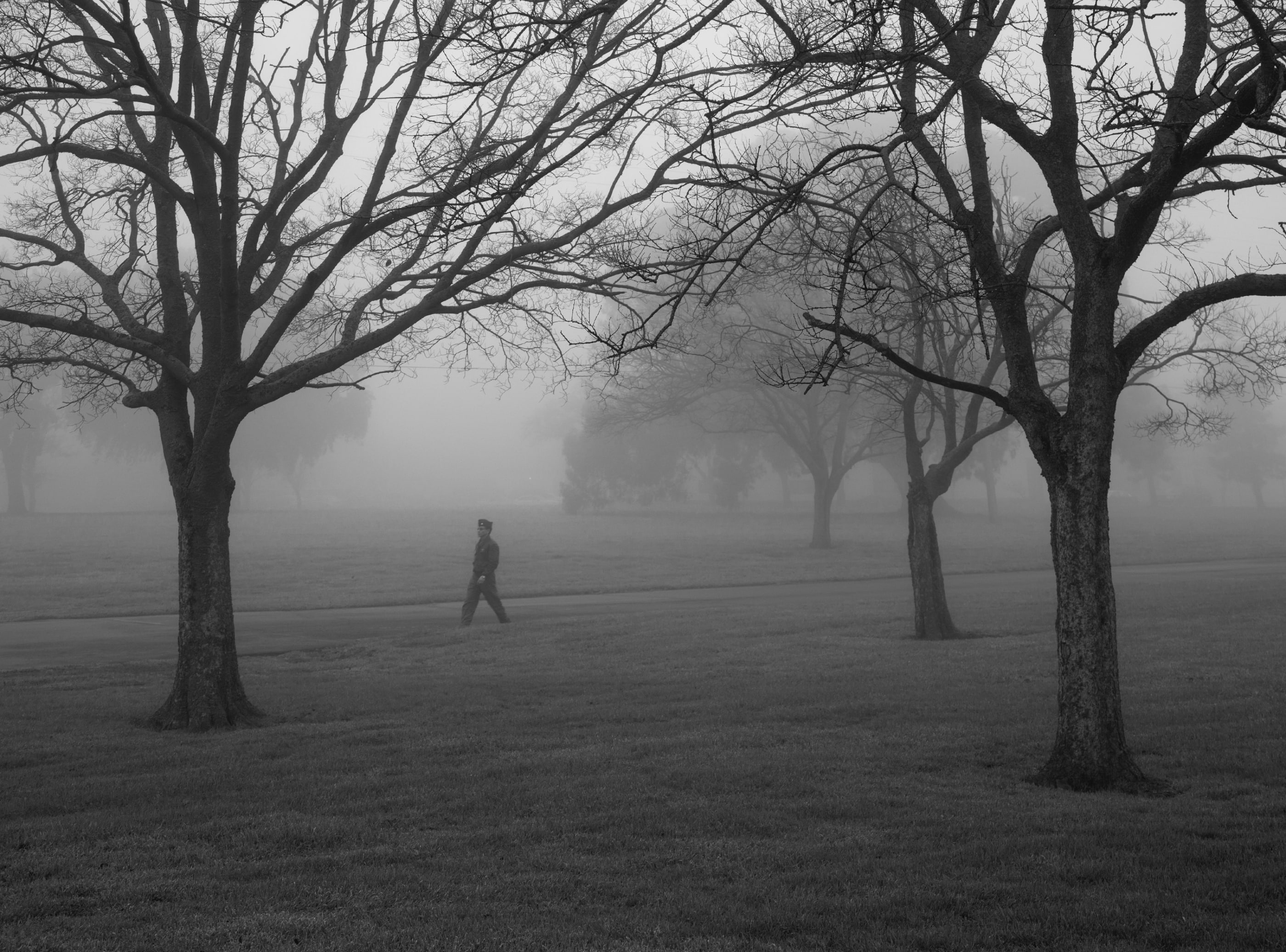2K, one person, full length, beauty in nature, aviator, Black and White, land, Winter, bare tree, tree, plant, scenics - nature, outdoors, field, Walking, HD Wallpaper