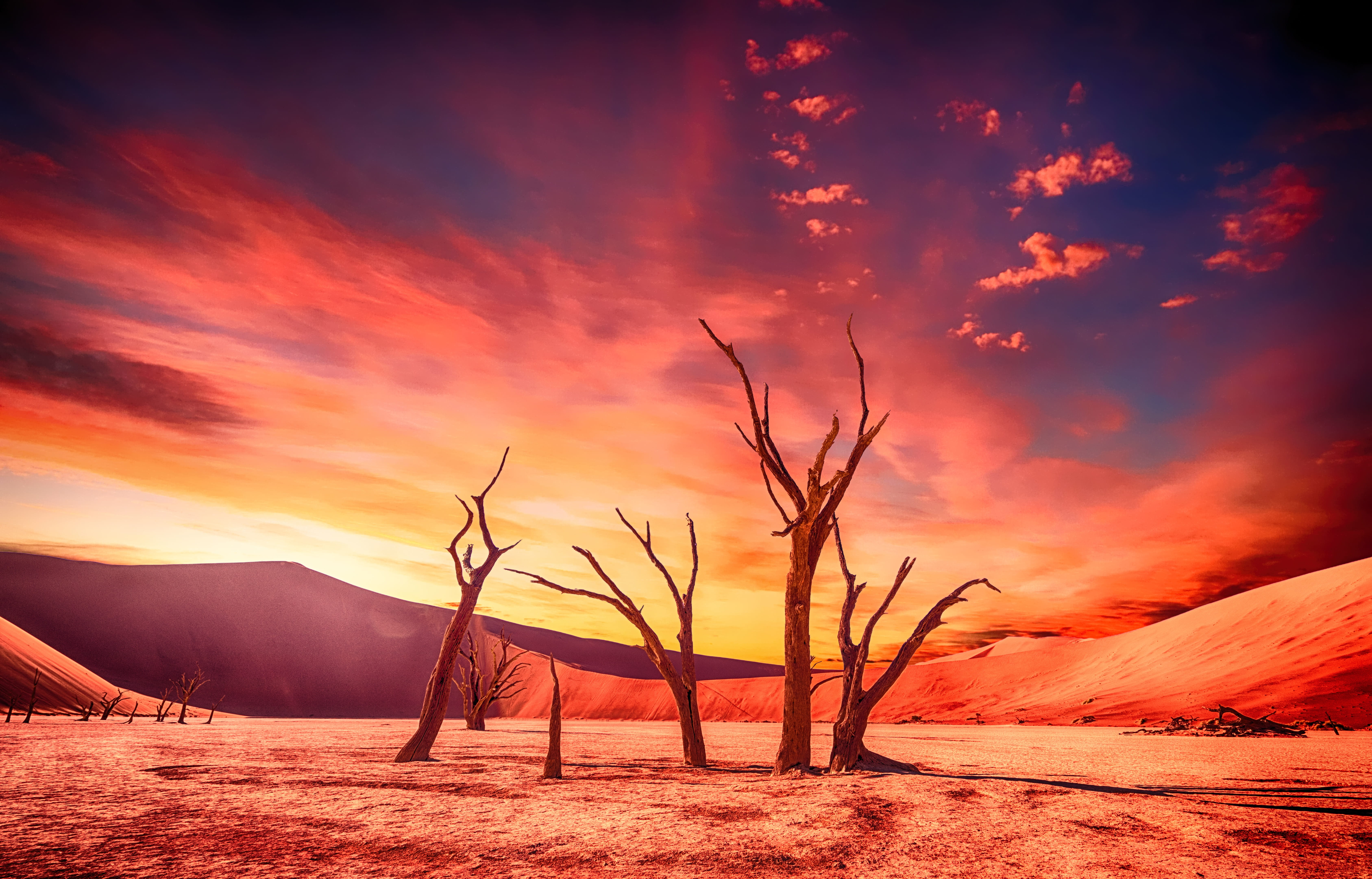 tranquility, cloud - sky, hot, drought, beauty in nature, sunset, dry, 5K, sand dunes, outdoors, landscape, sand, tress, leafless, idyllic, dunes, wilderness, HD Wallpaper